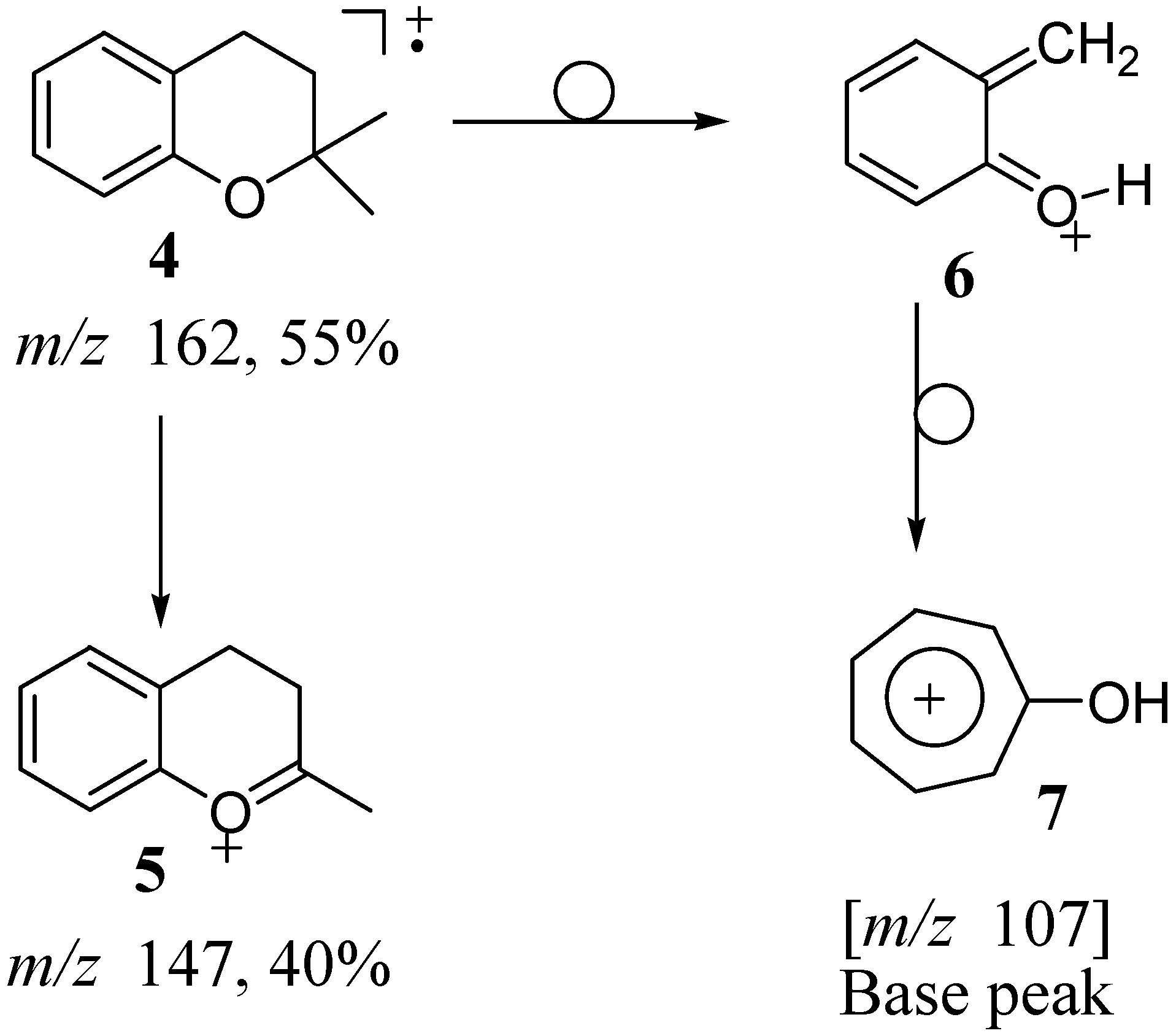 Molecules 09 00830 g006