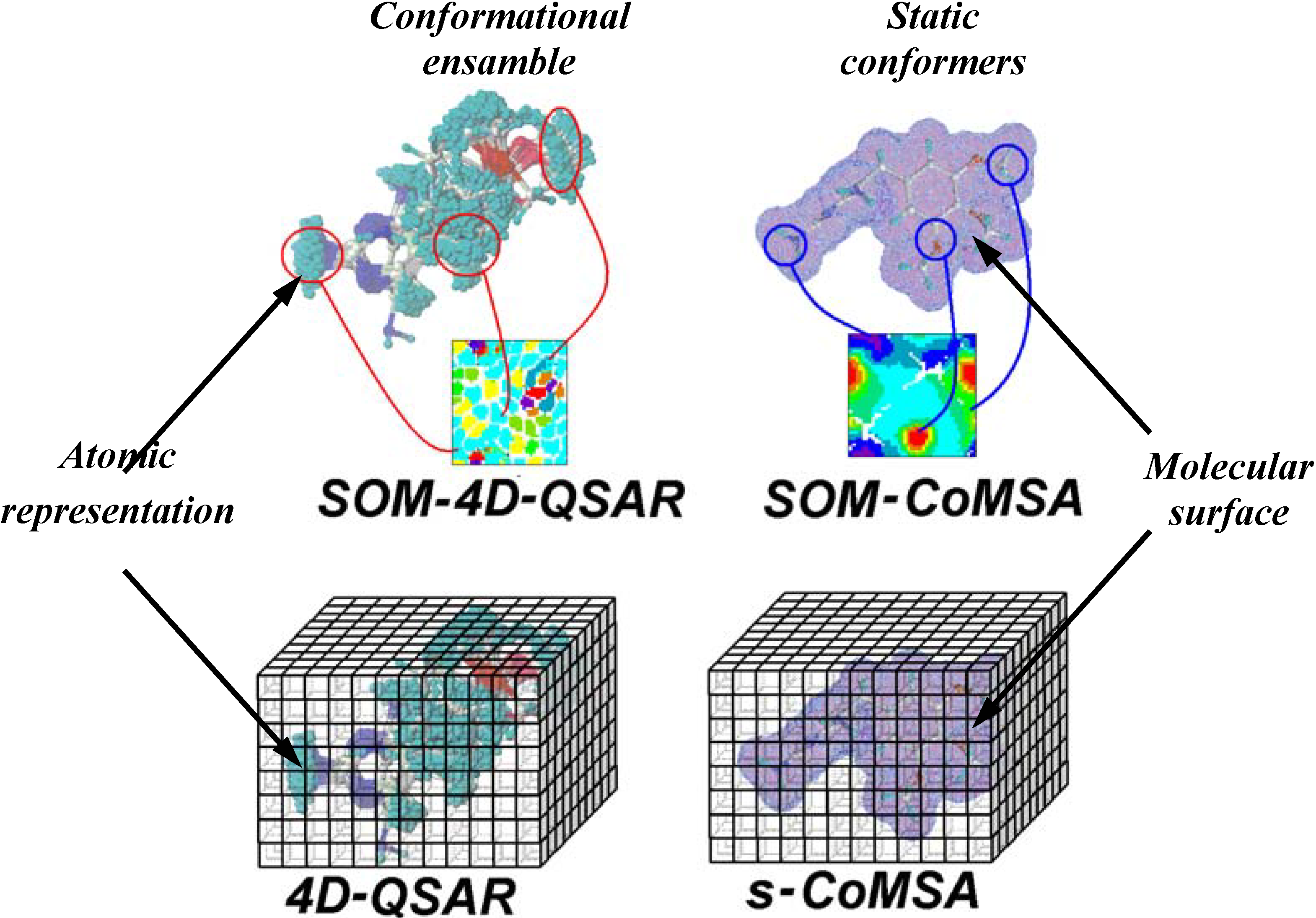 Molecules 09 01148 g003 550