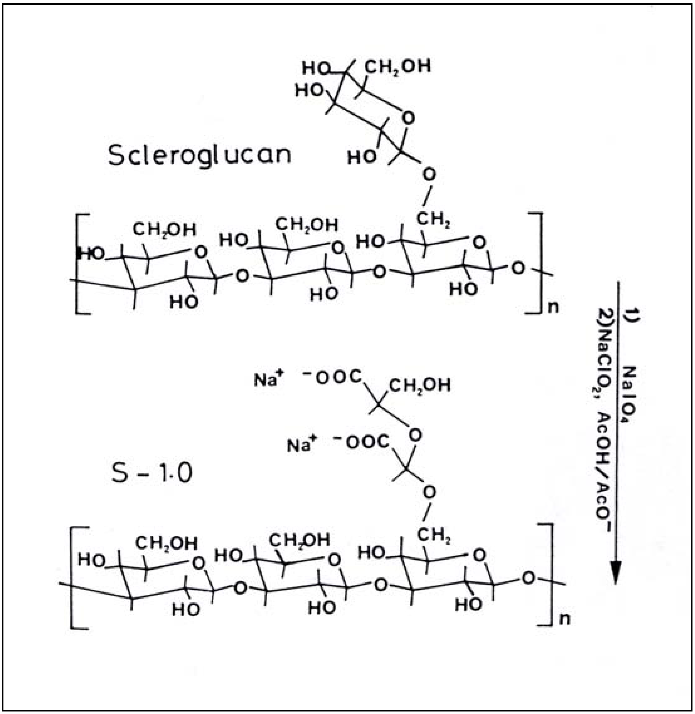 Molecules 10 00006 g020