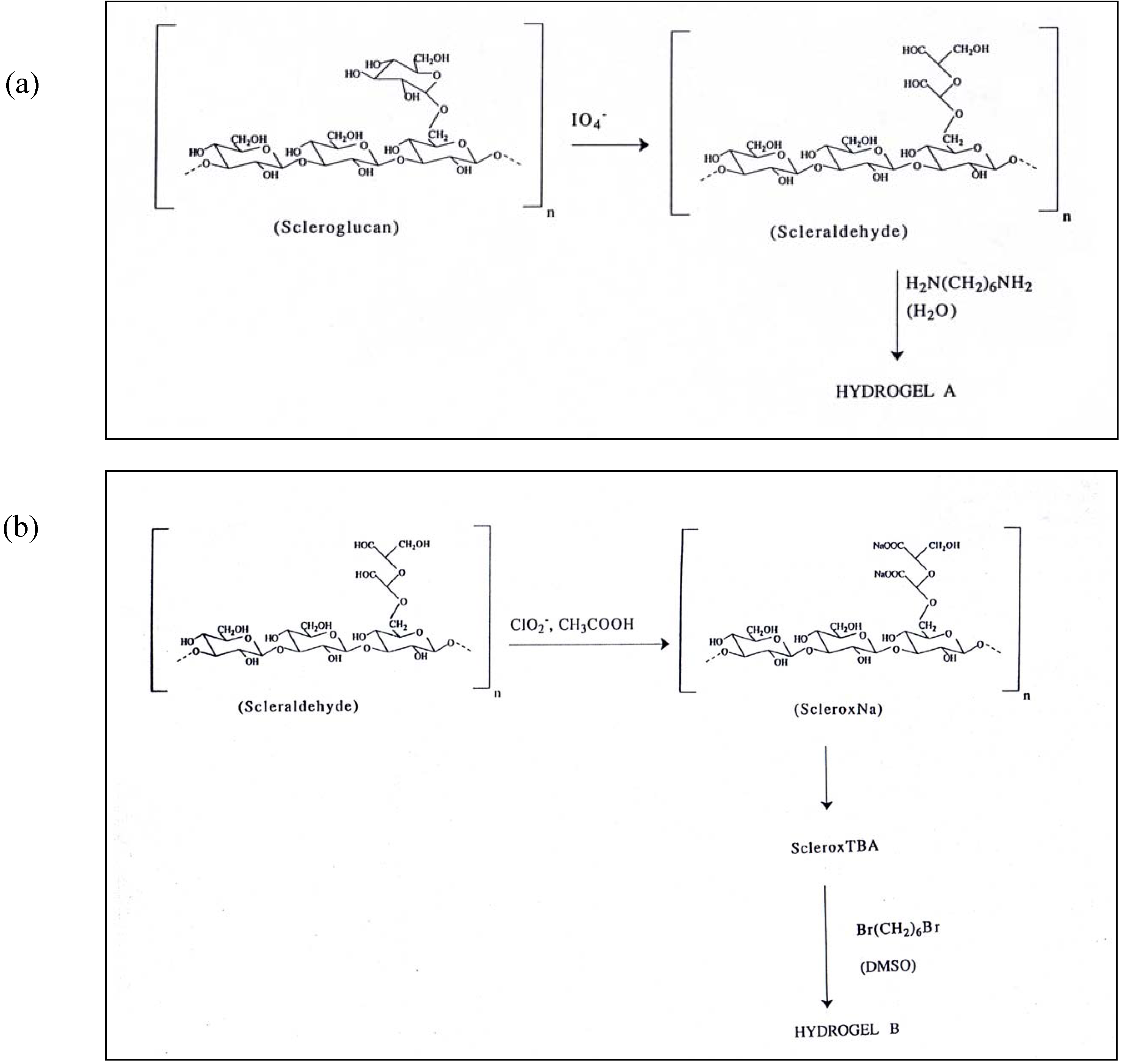 Molecules 10 00006 g022