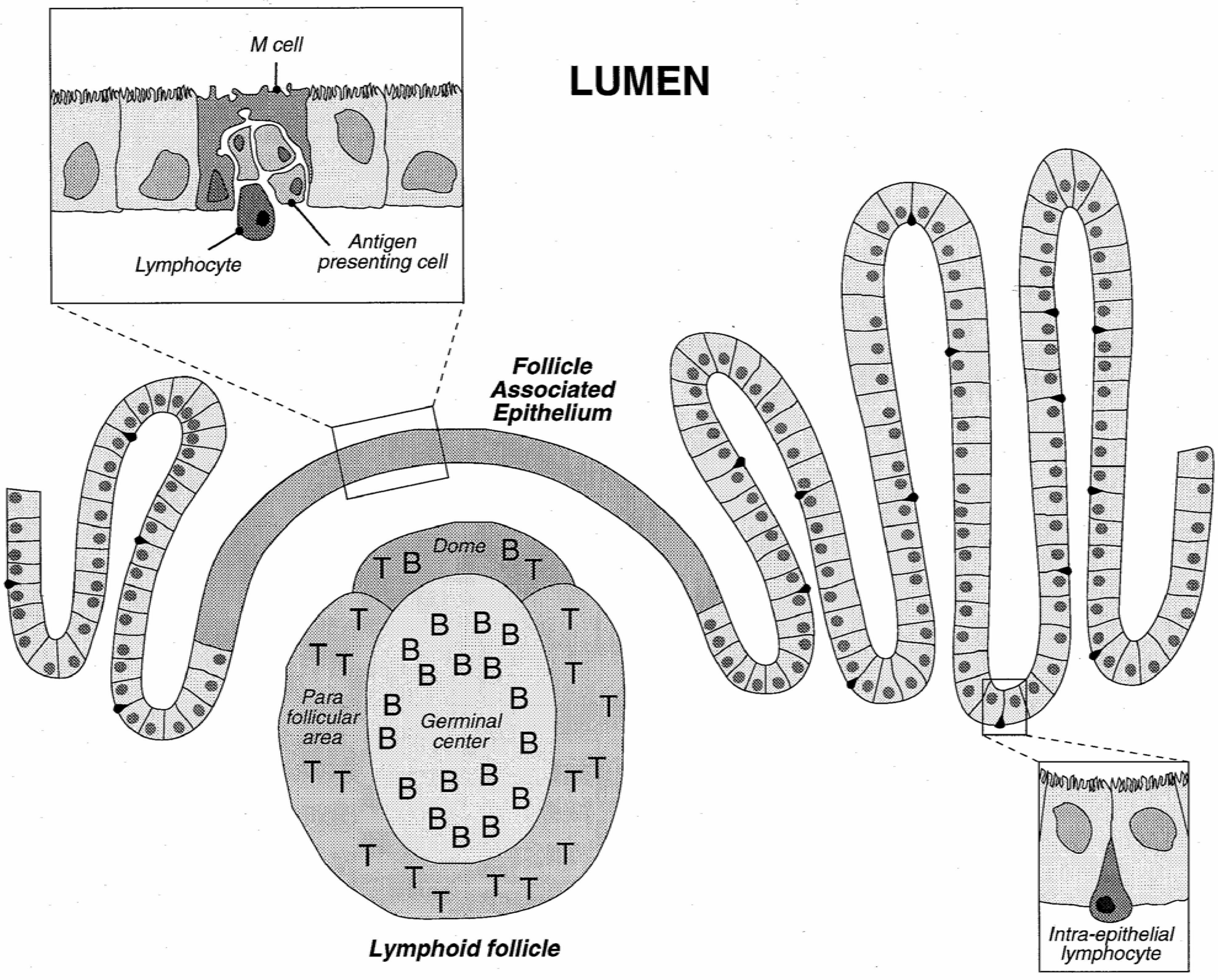 Molecules 10 00065 g003
