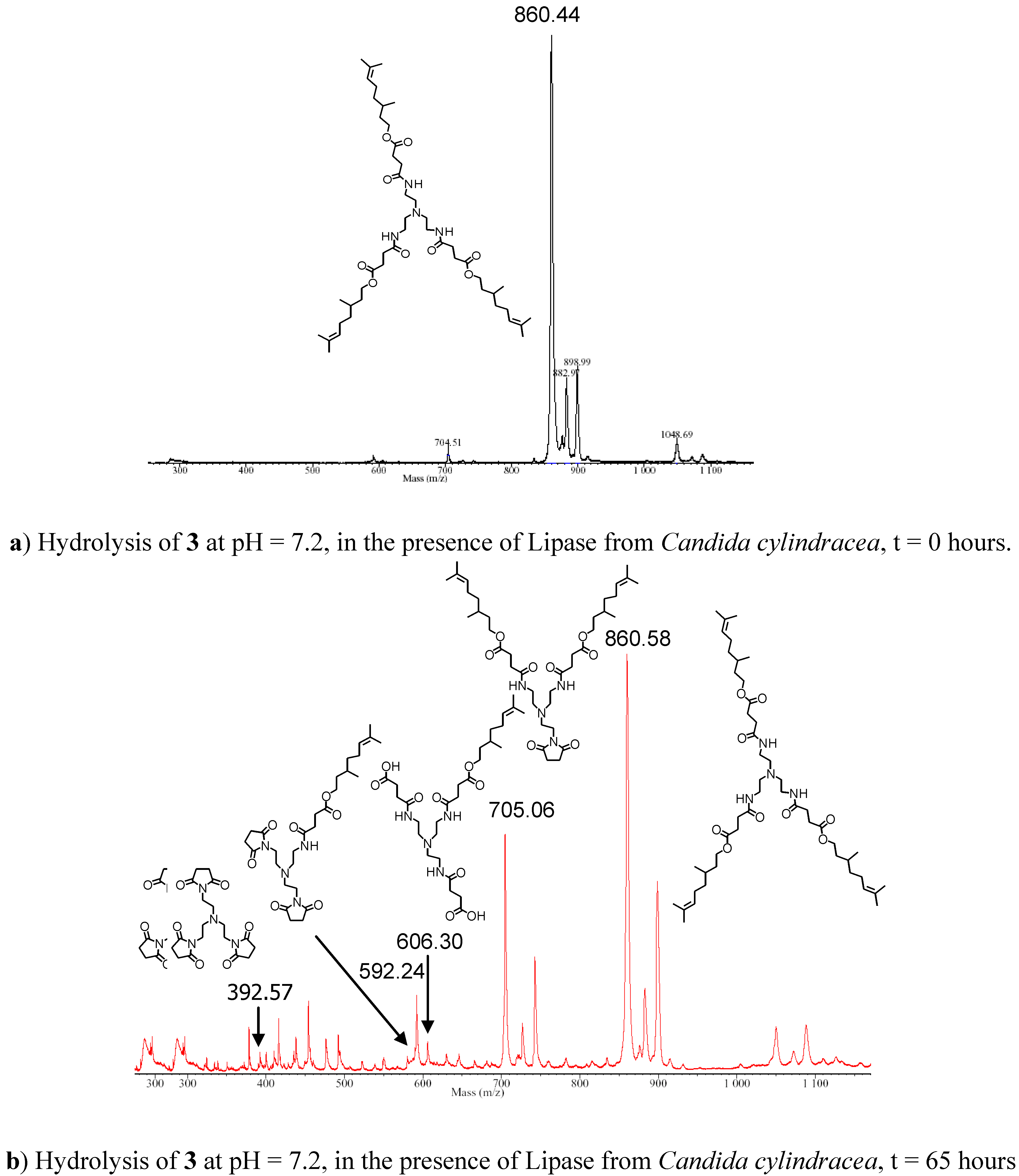 Molecules 10 00081 g002 550