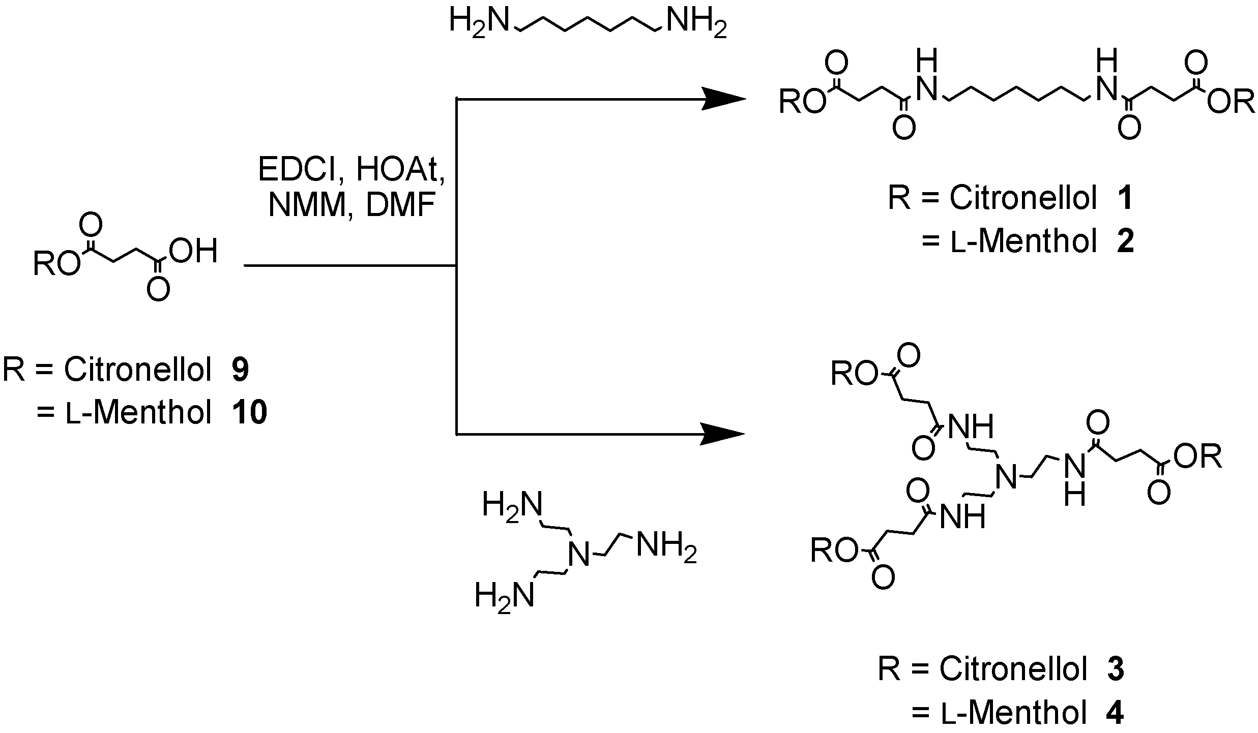 Molecules 10 00081 g006 550