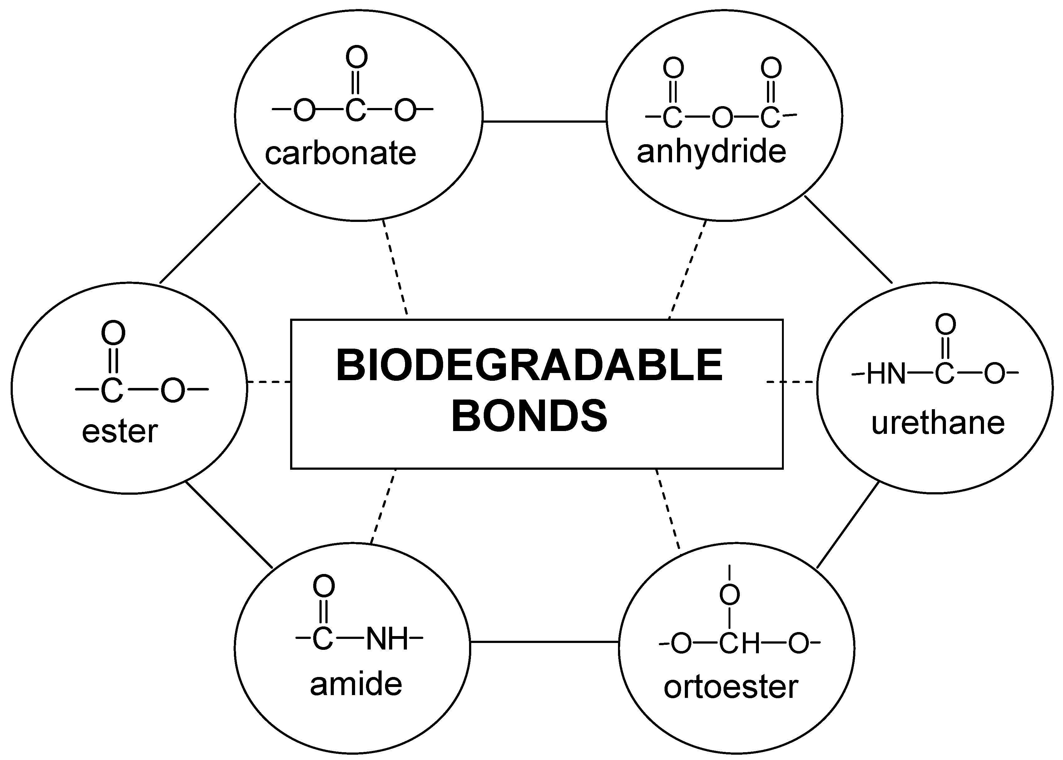 Molecules 10 00114 g002 550