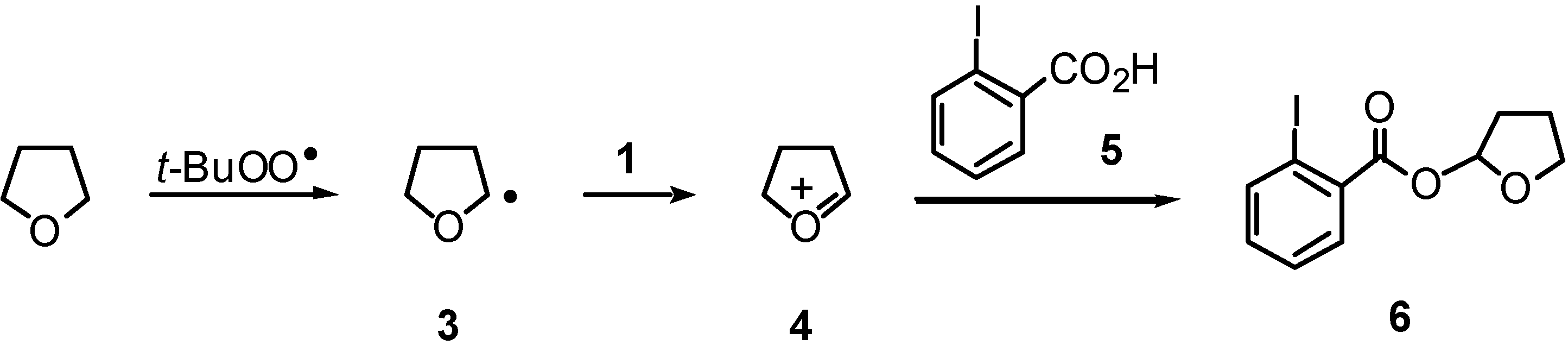 Molecules 10 00195 g001 550
