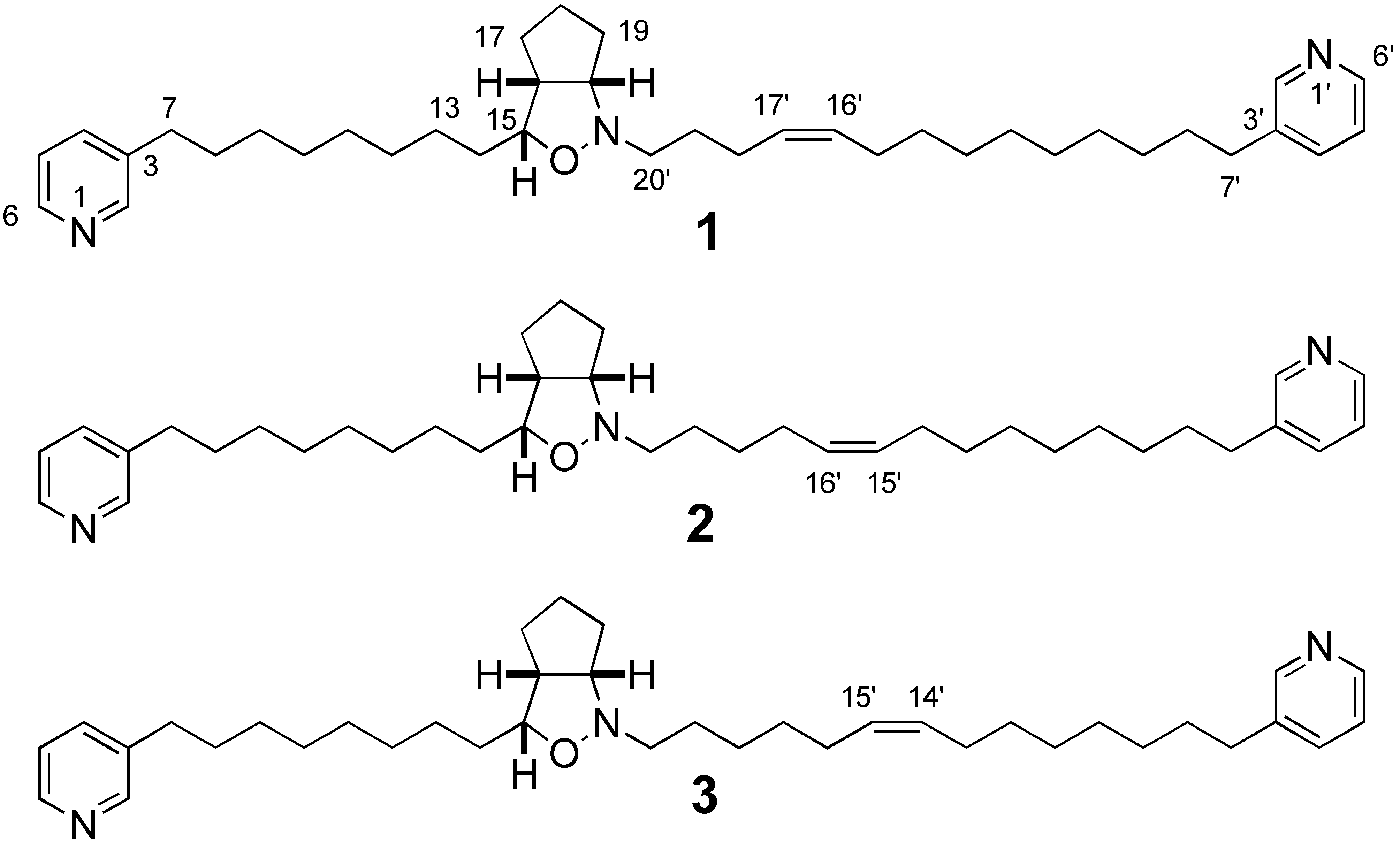 Molecules 10 00312 i001