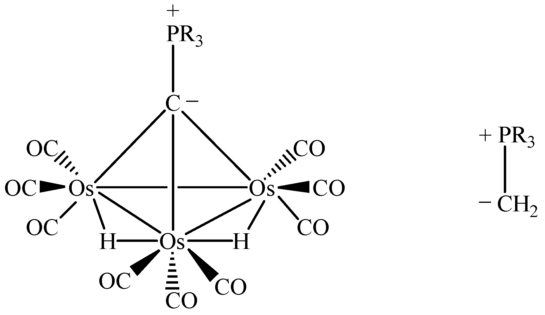 Molecules 10 00640 g004 550