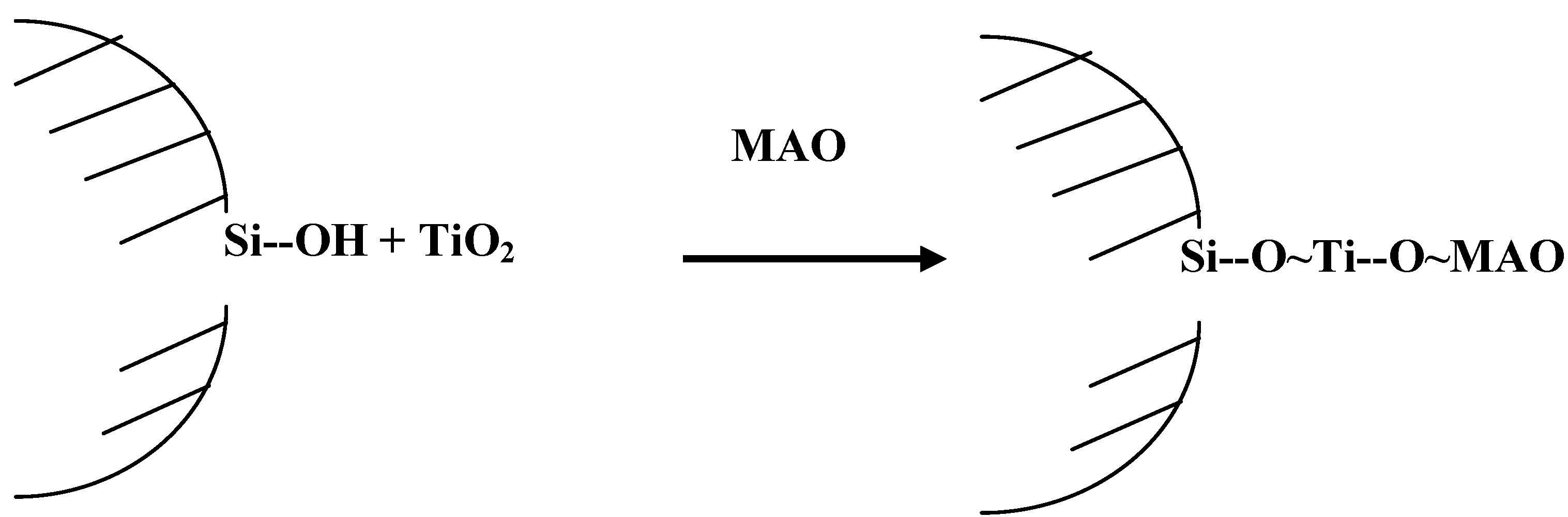 Molecules 10 00672 g004 550