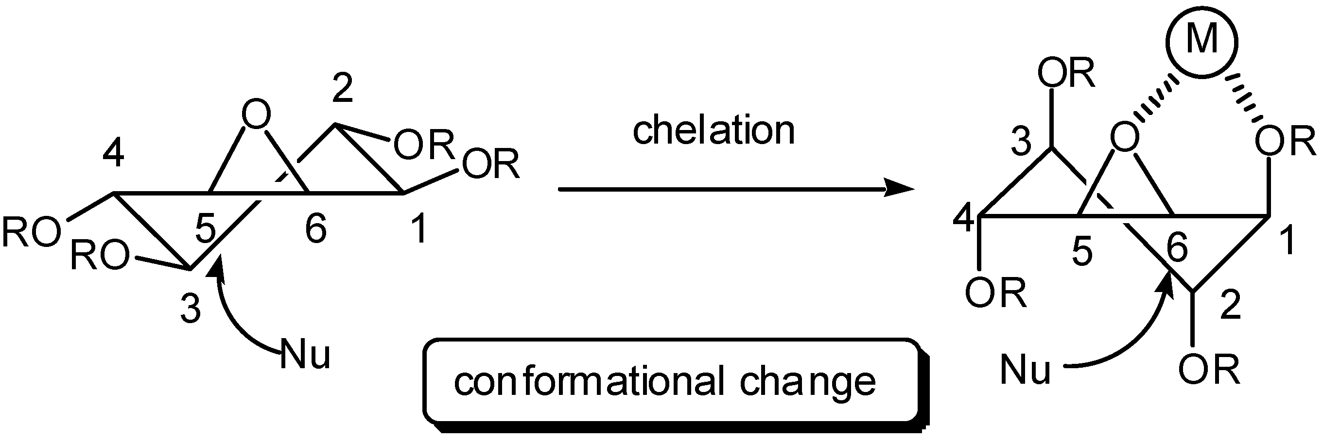 Molecules 10 00901 g003 550