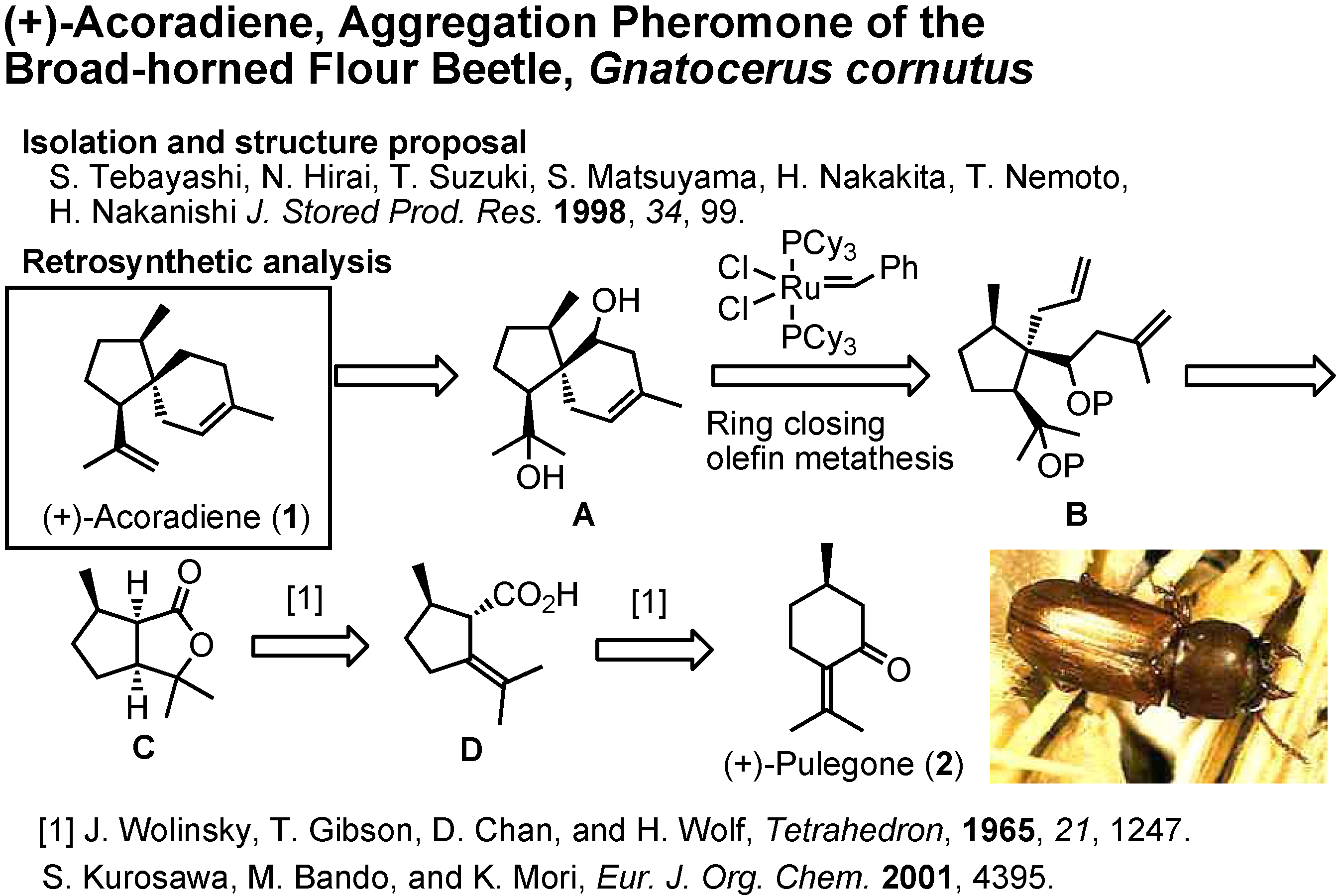 Molecules Free FullText Organic Synthesis in Pheromone Science HTML