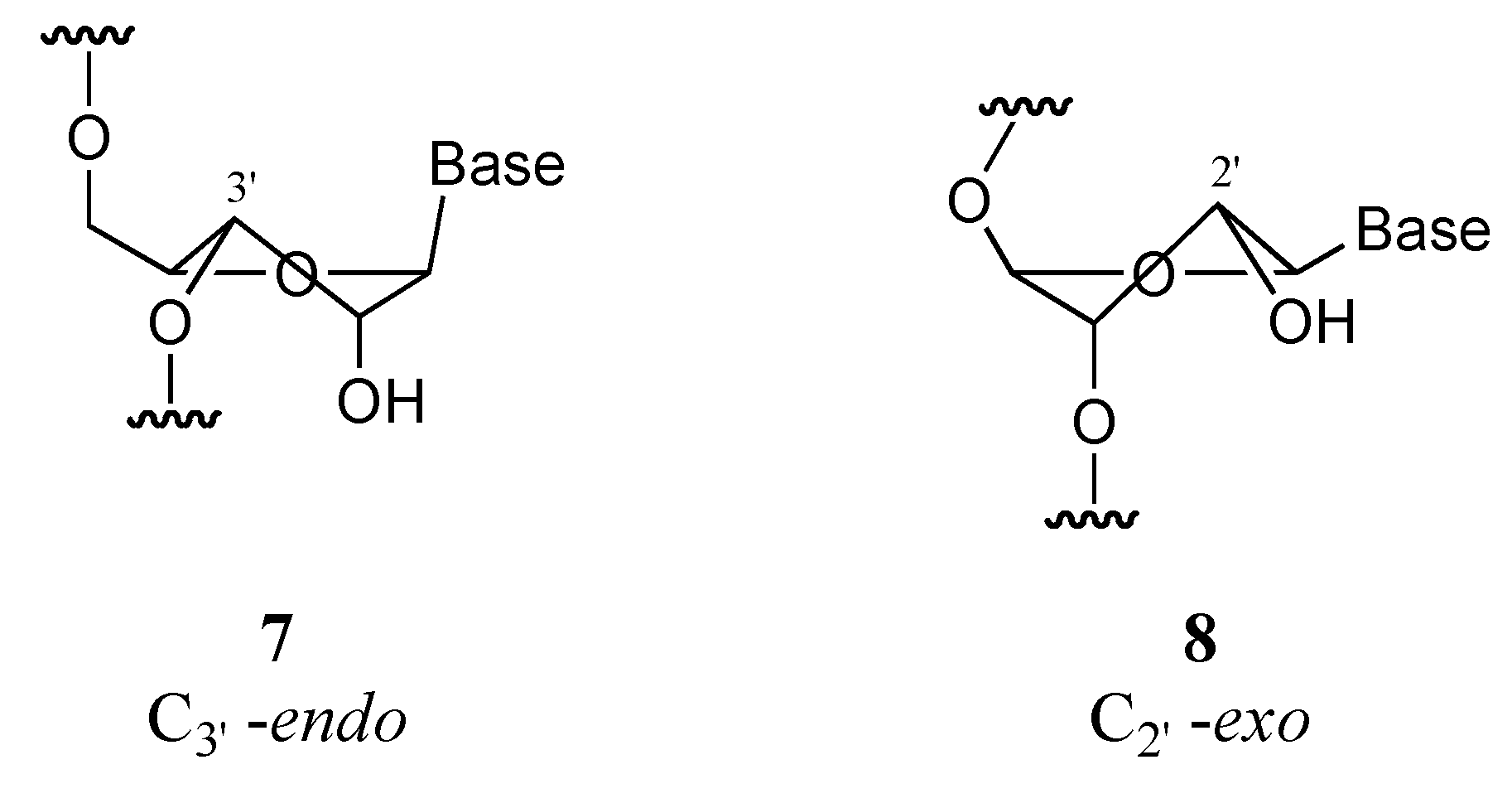 Molecules 10 01048 g001 550