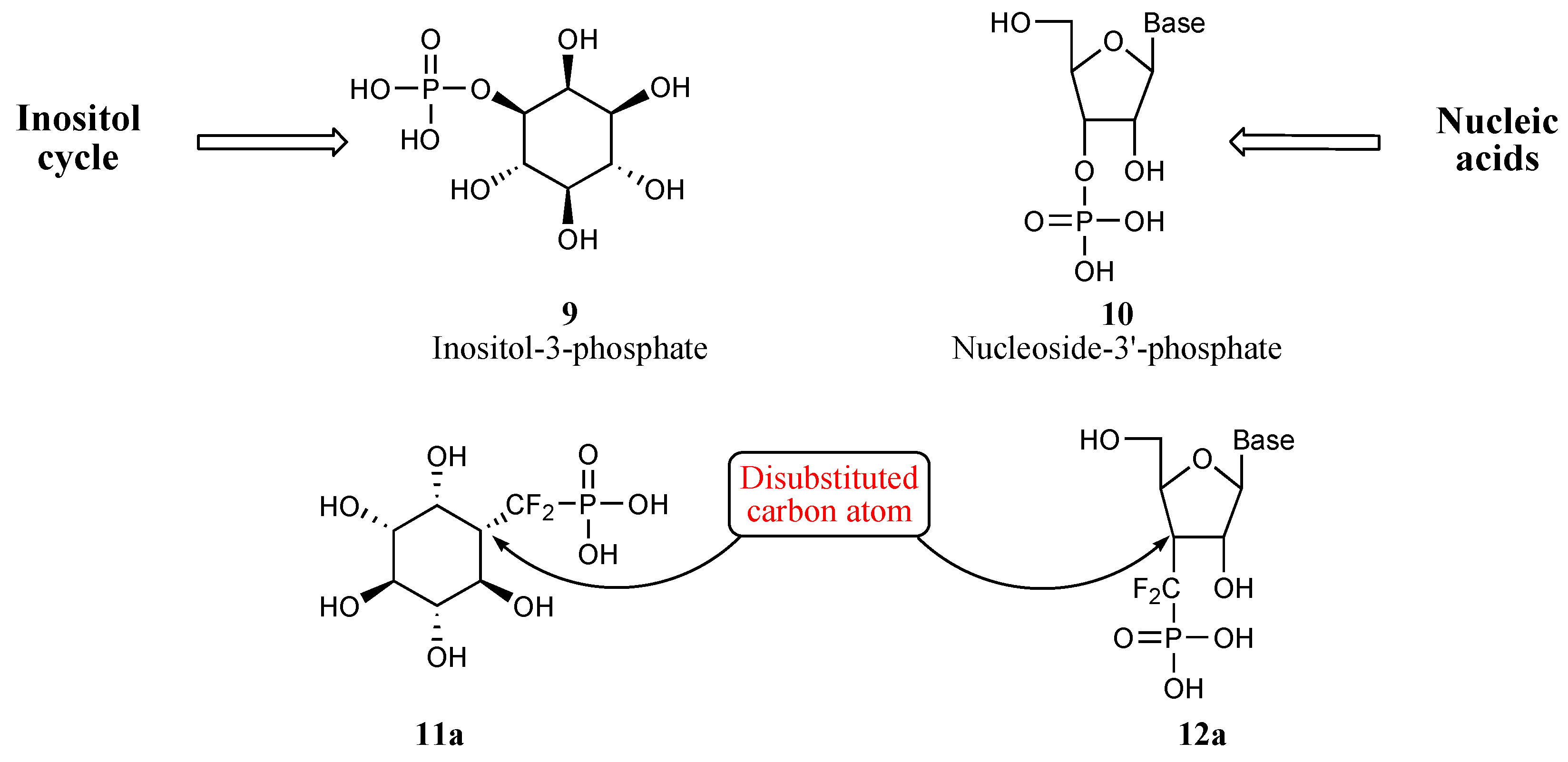 Molecules 10 01048 g002 550
