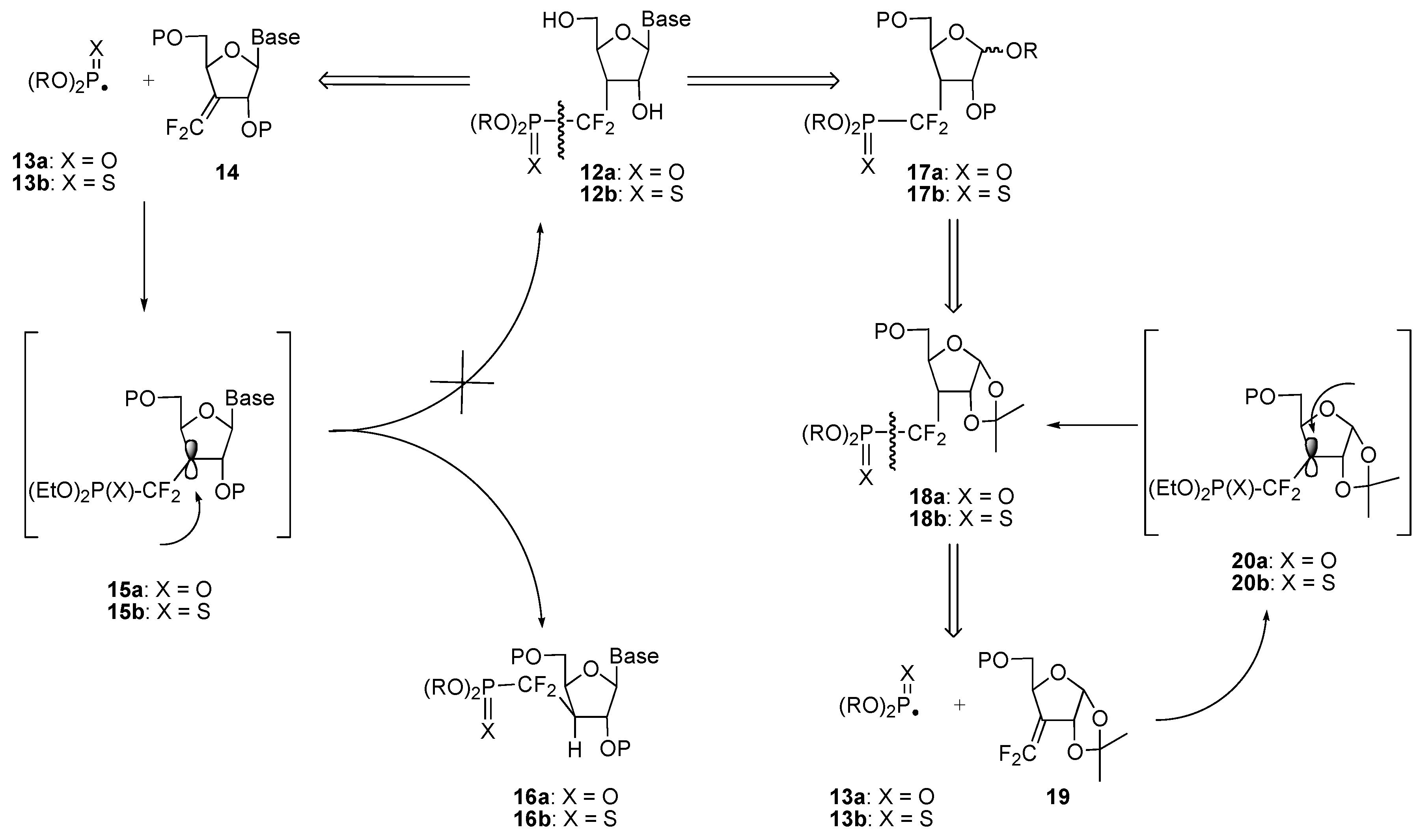 Molecules 10 01048 g010 550