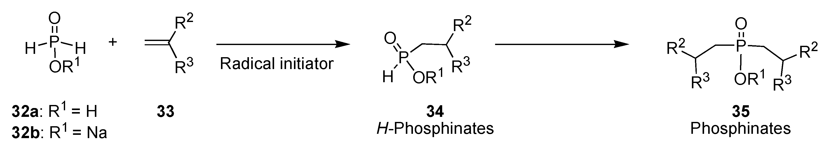Molecules 10 01048 g013 550