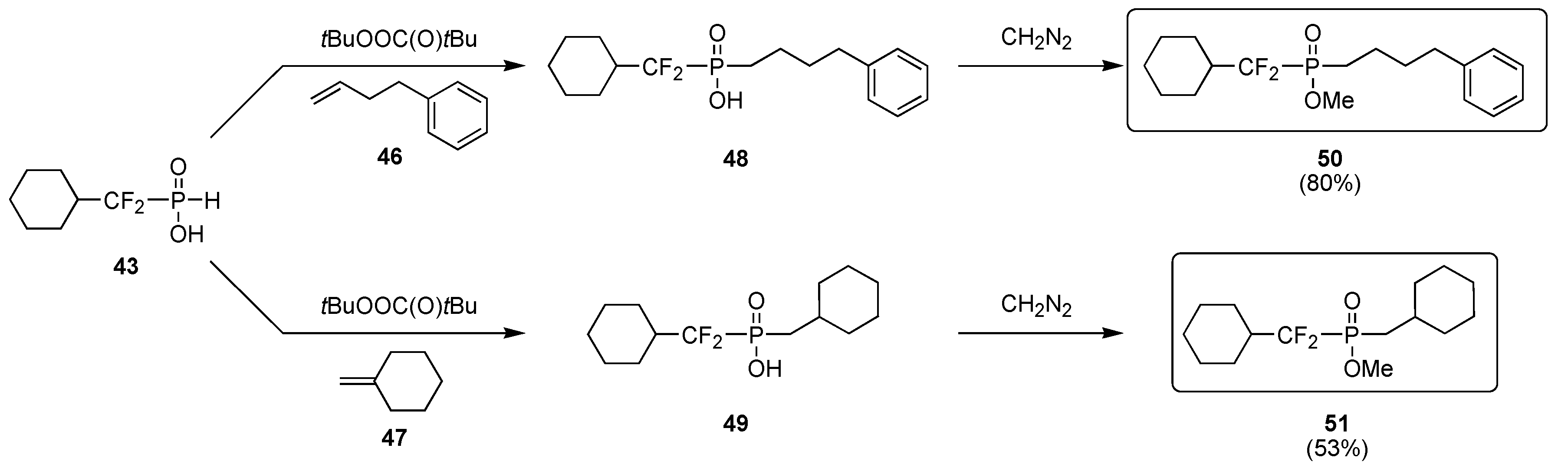 Molecules 10 01048 g015 550