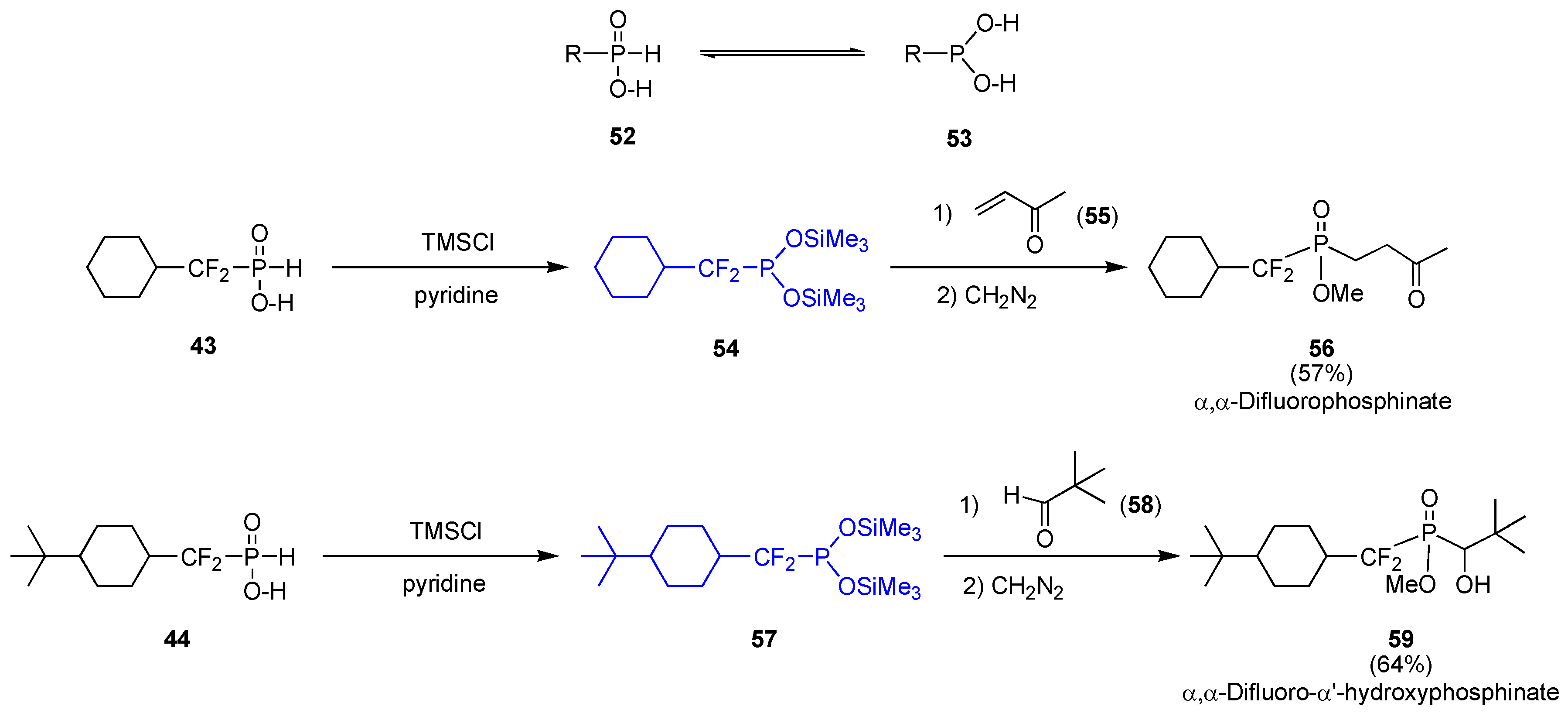 Molecules 10 01048 g016 550