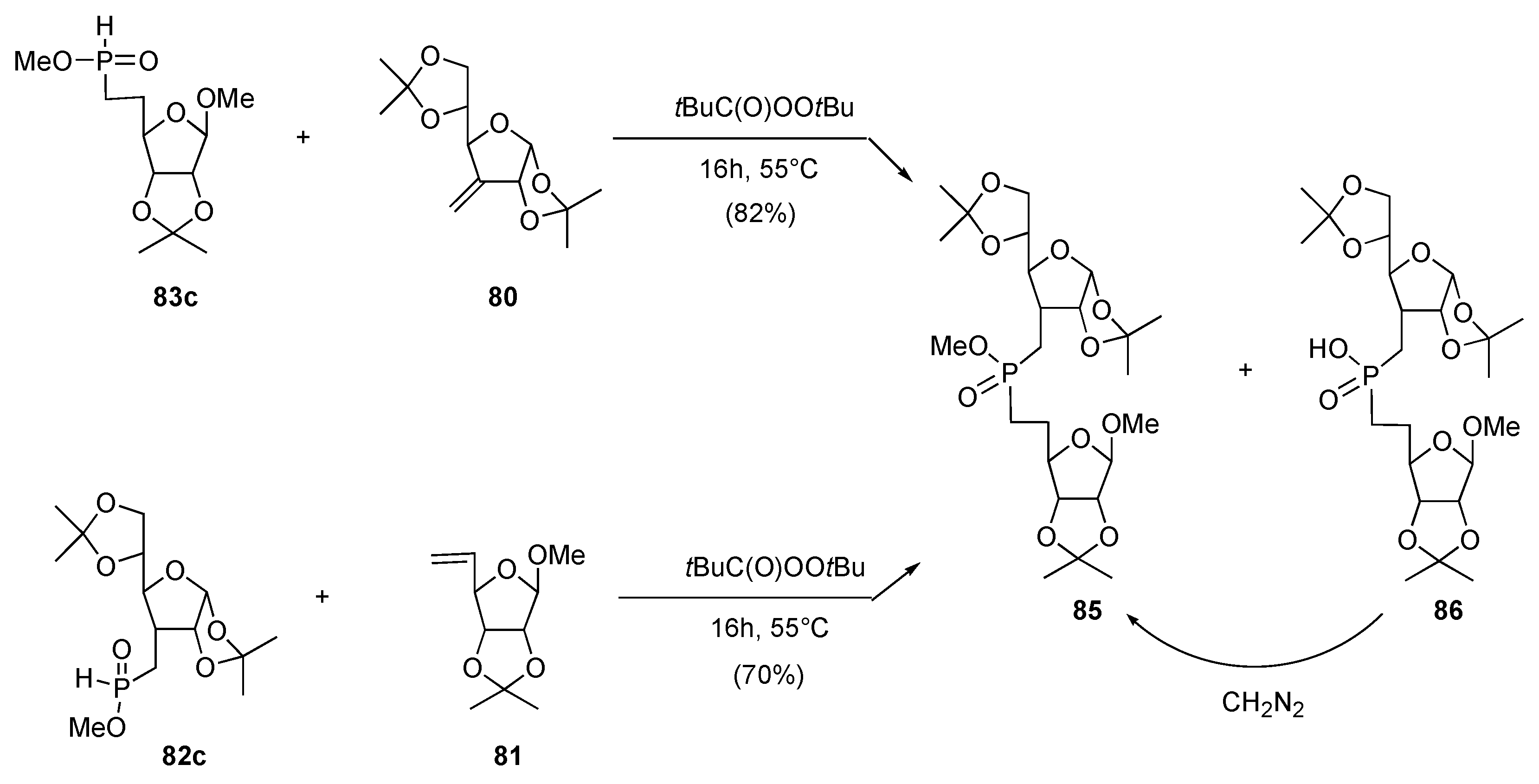 Molecules 10 01048 g022 550
