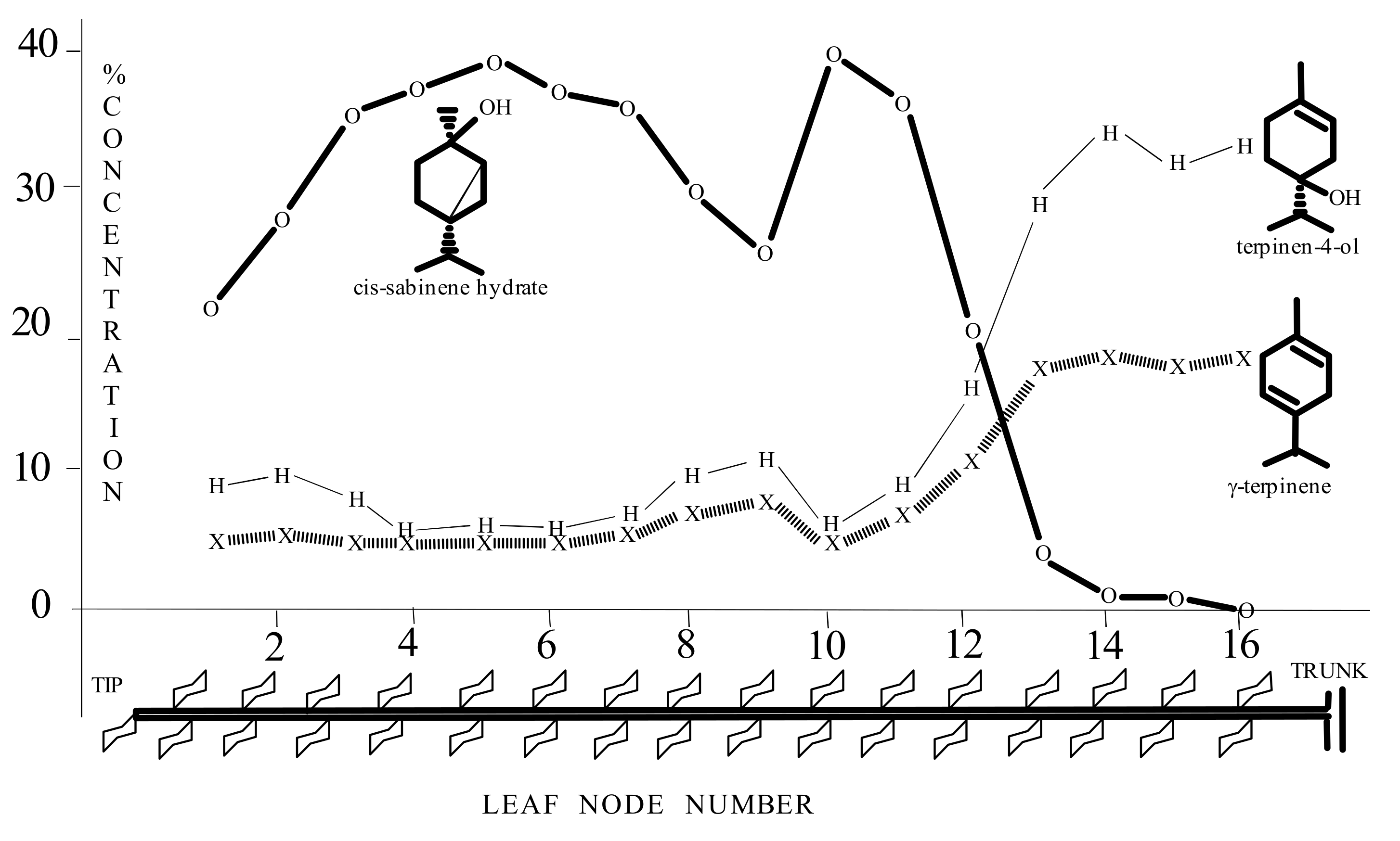 Molecules 10 01232 g002