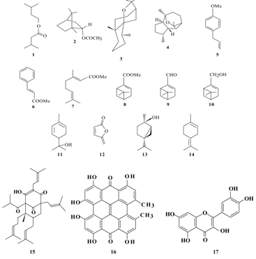 Molecules 10 01232 i001