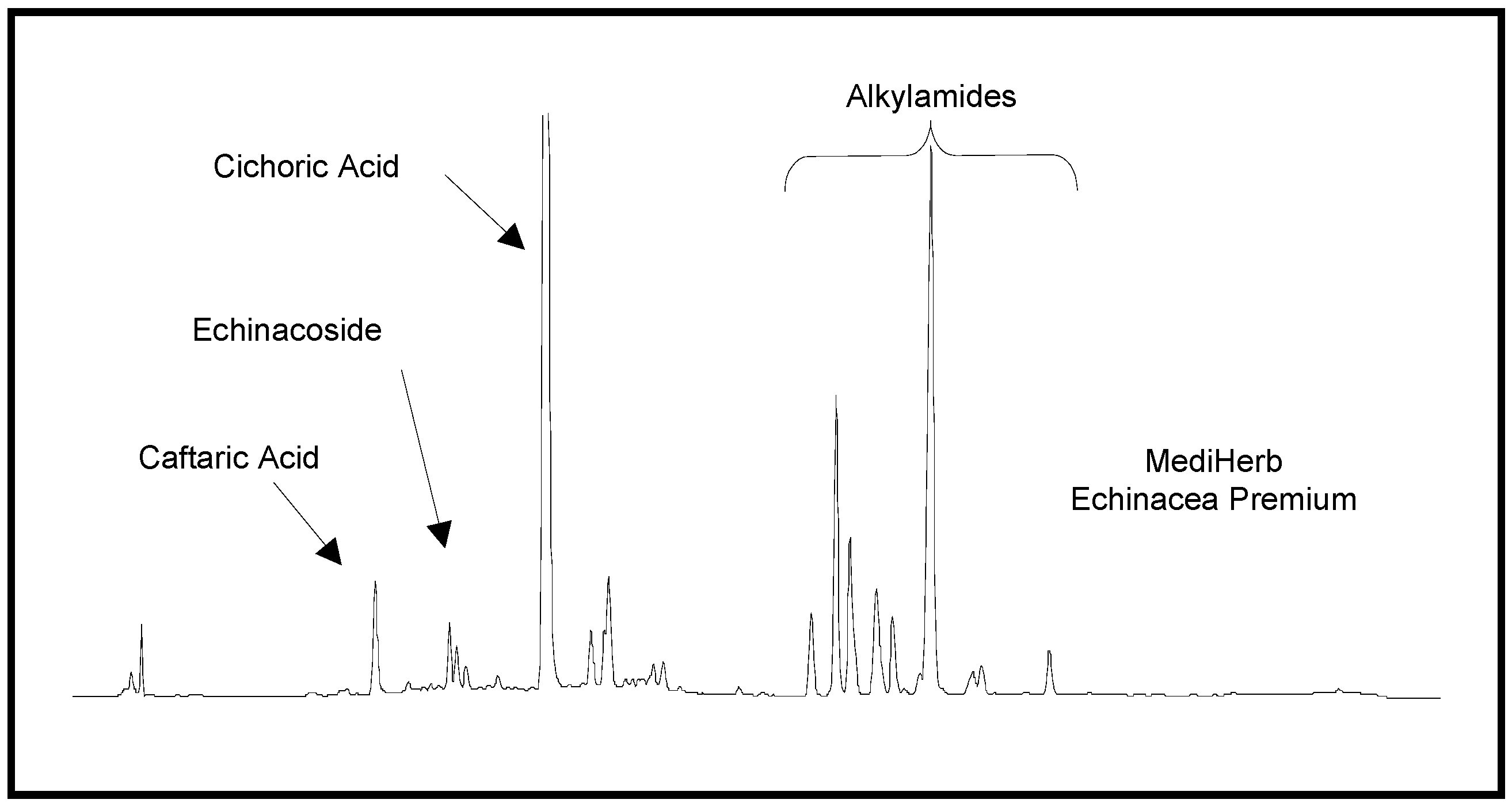 Molecules 10 01242 g001