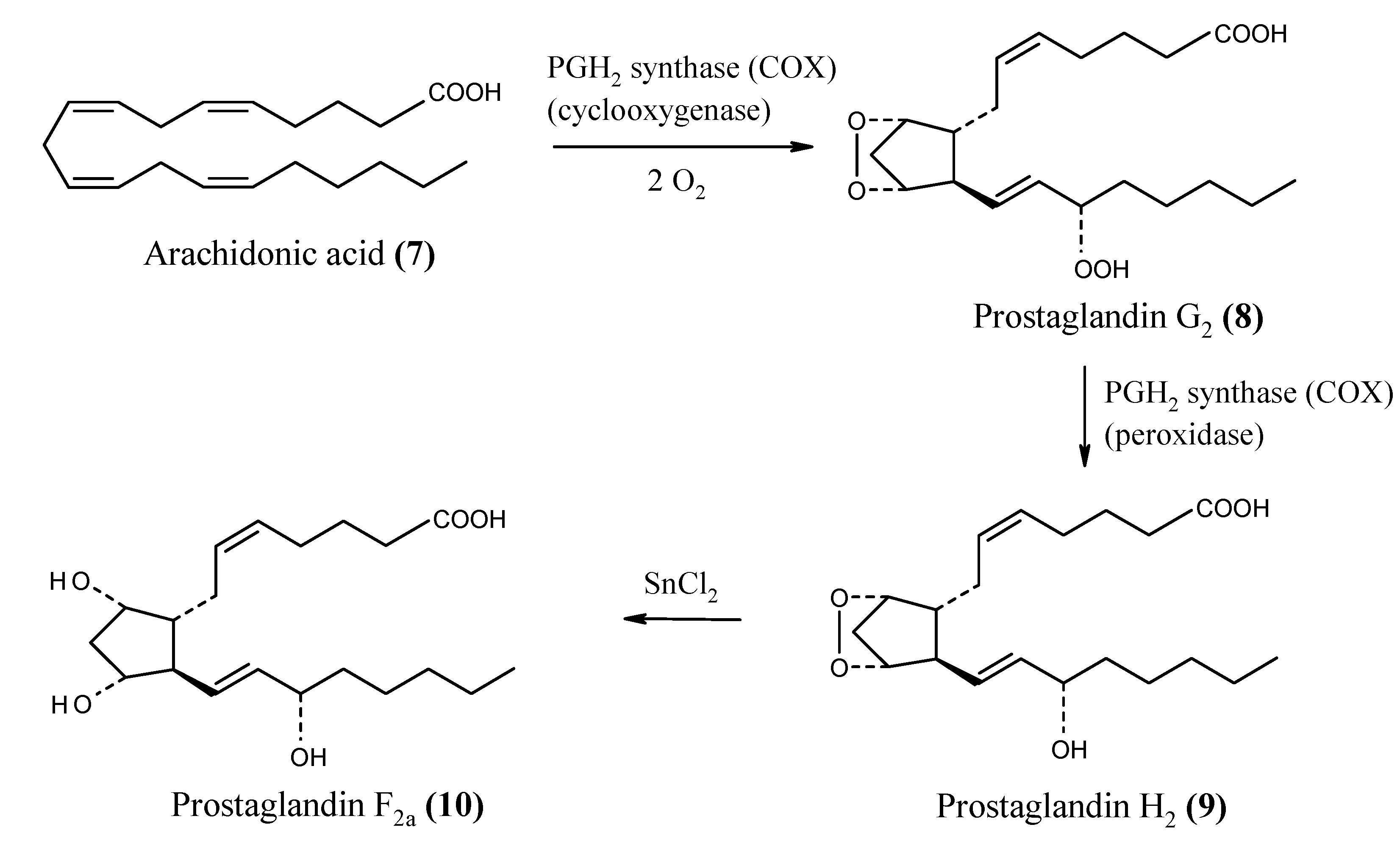Molecules 10 01252 g002