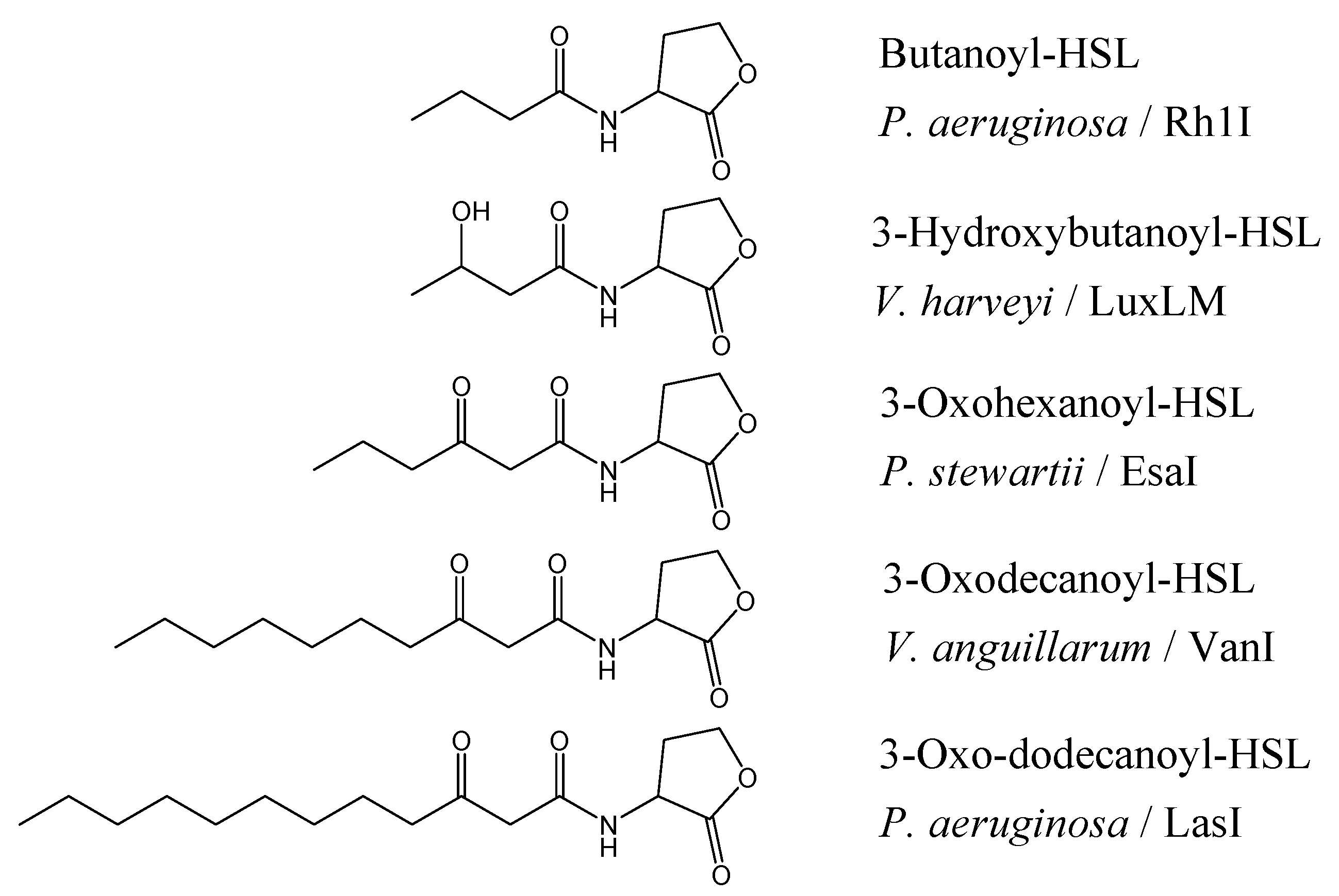 Molecules 10 01263 g001