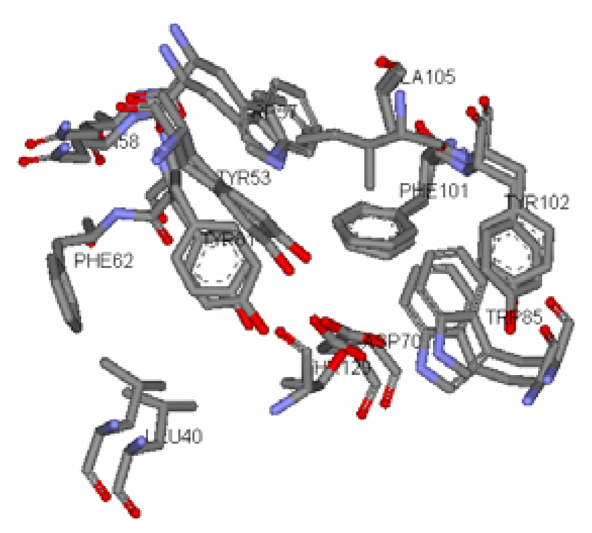 Molecules 10 01263 g005