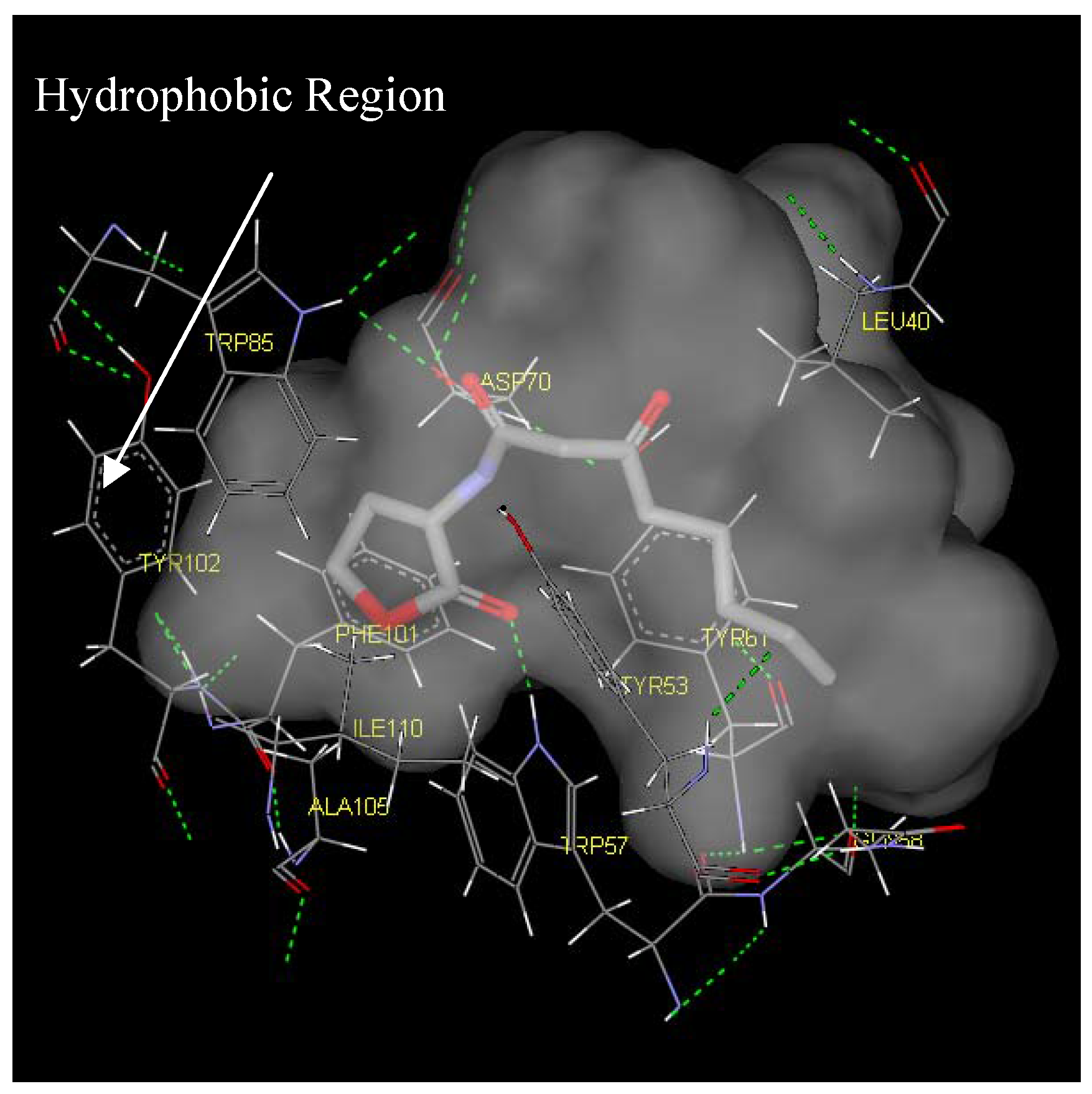 Molecules 10 01263 g006