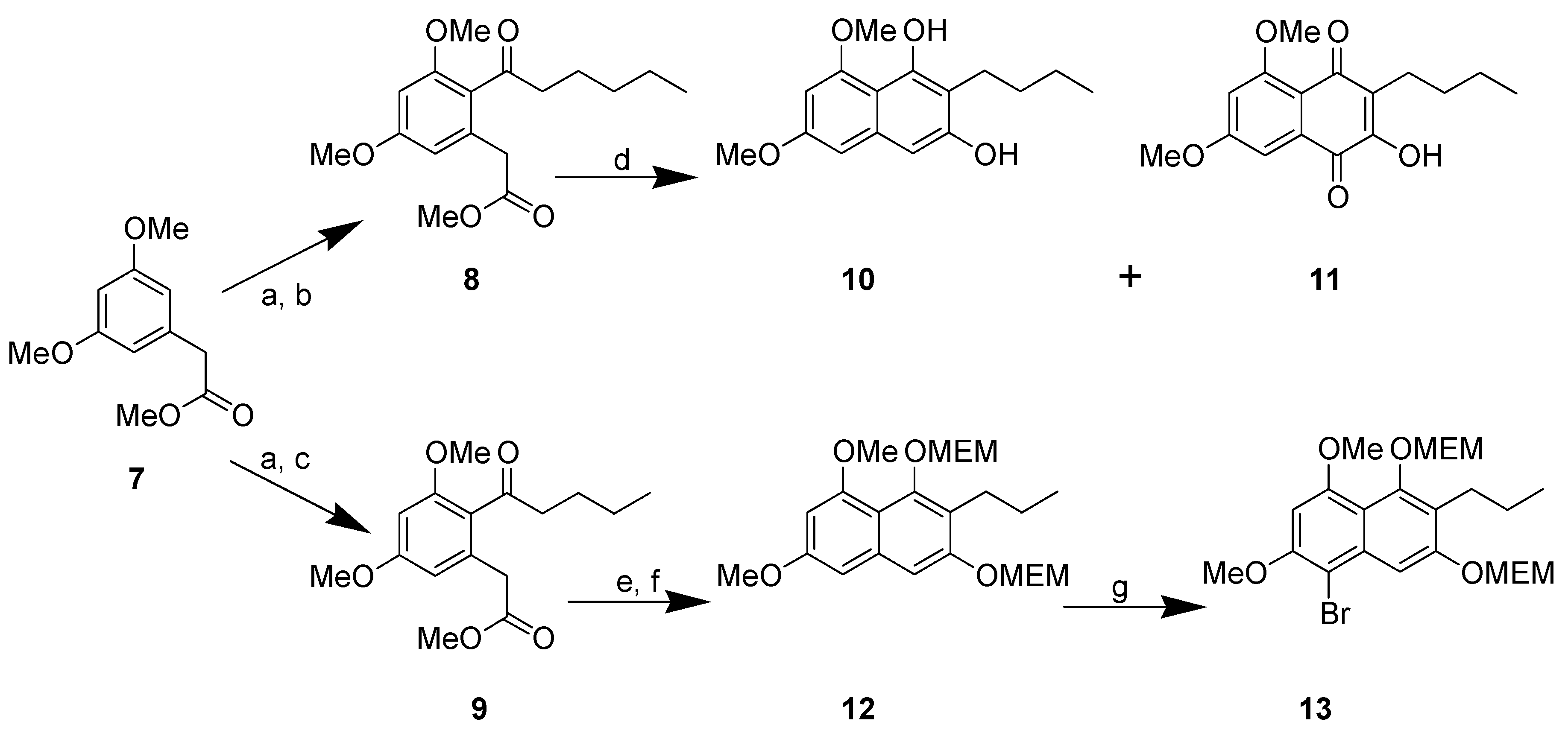 Molecules 10 01272 g001