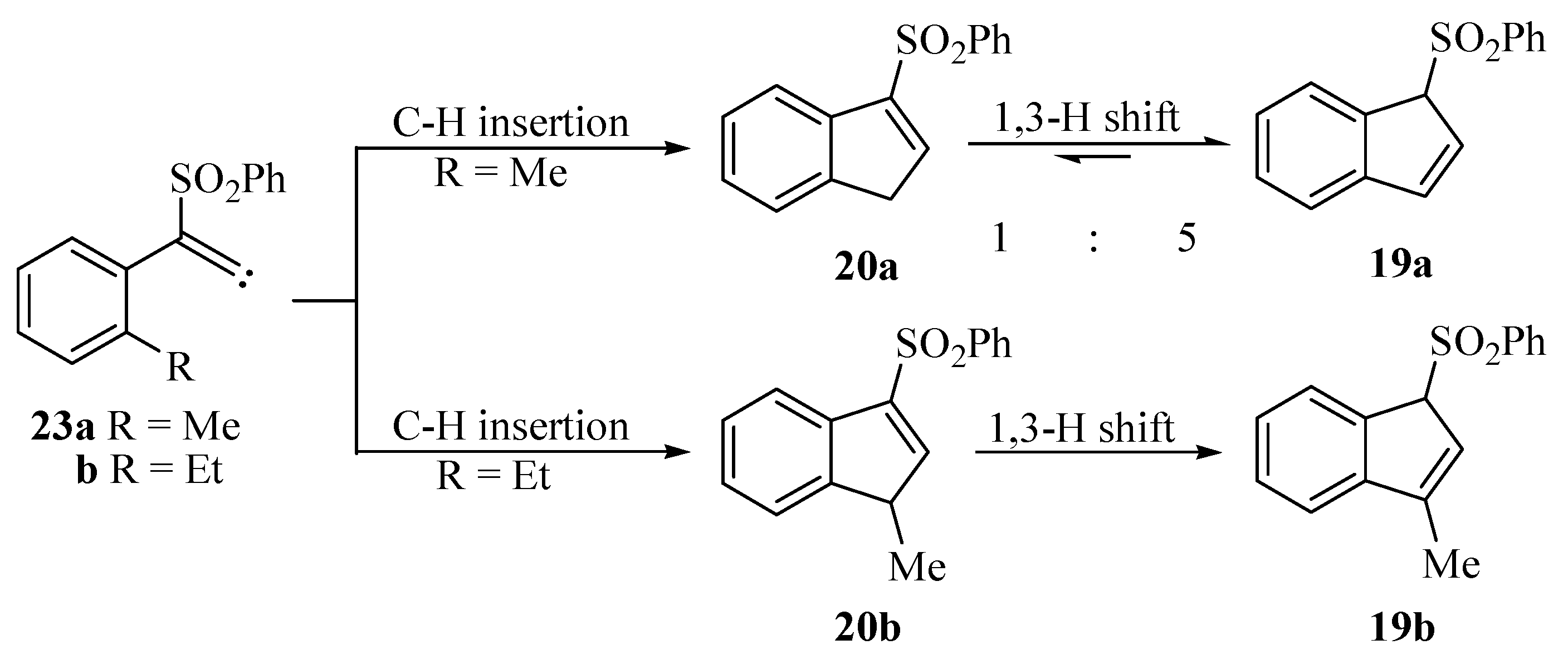 Molecules 10 01340 g005