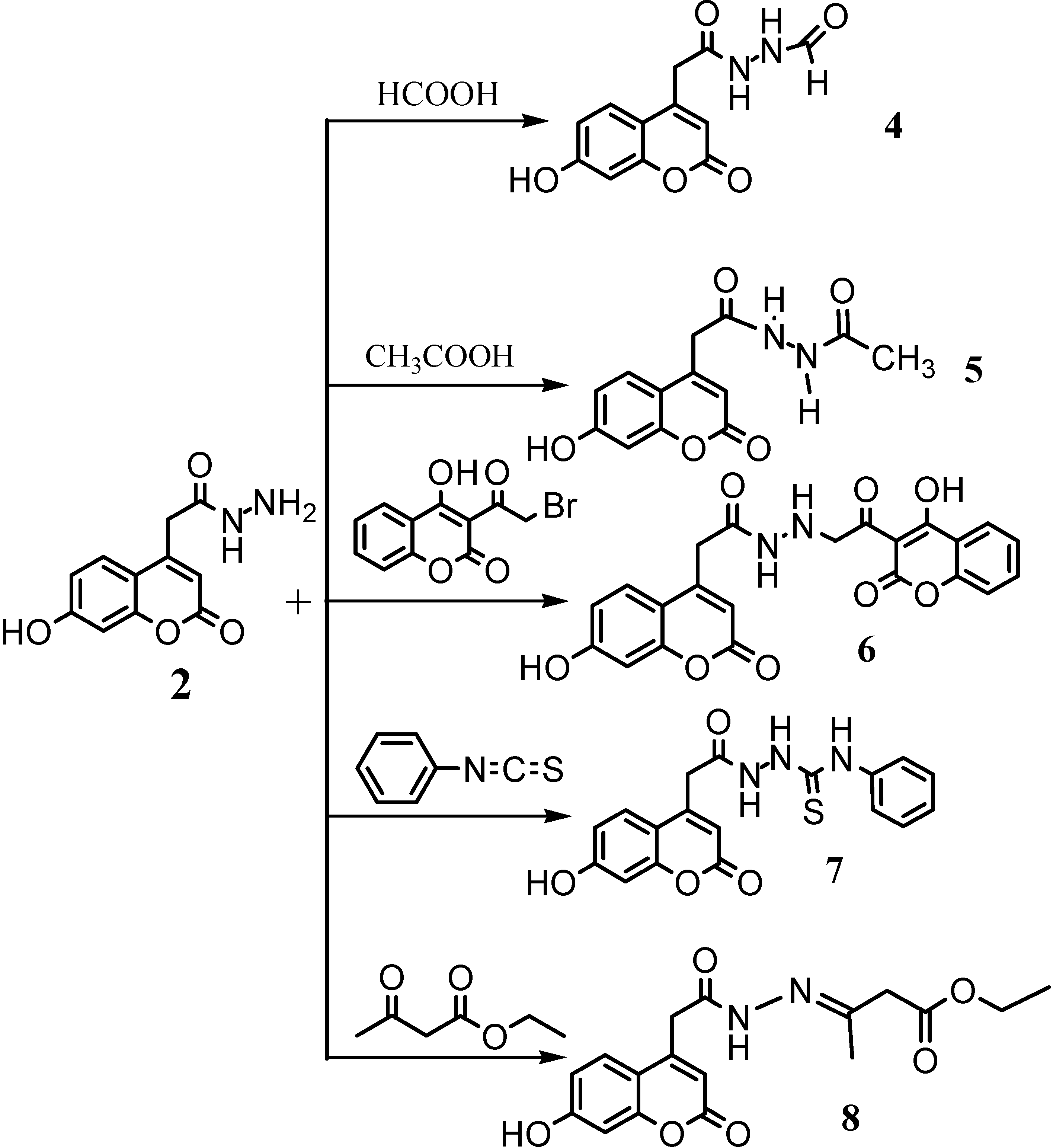 Molecules 11 00134 g002