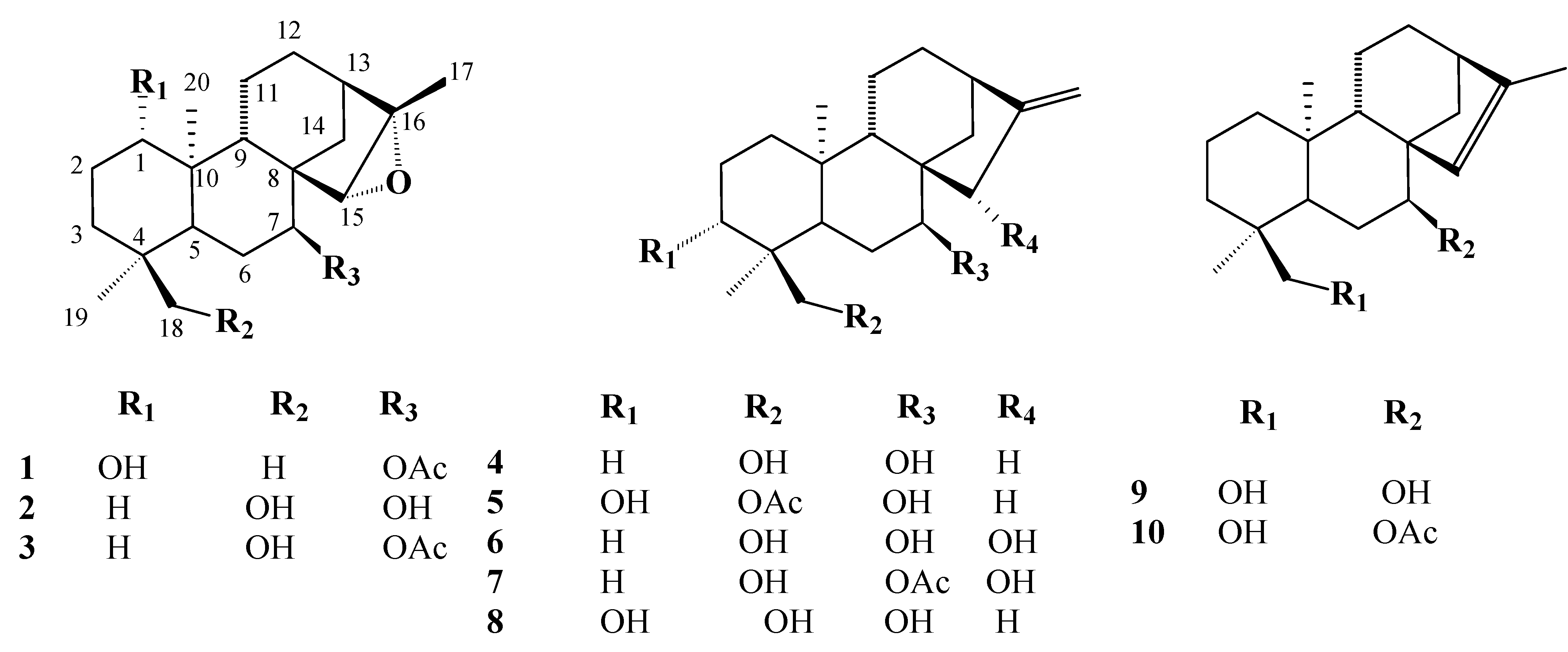 Molecules 11 00257 g001