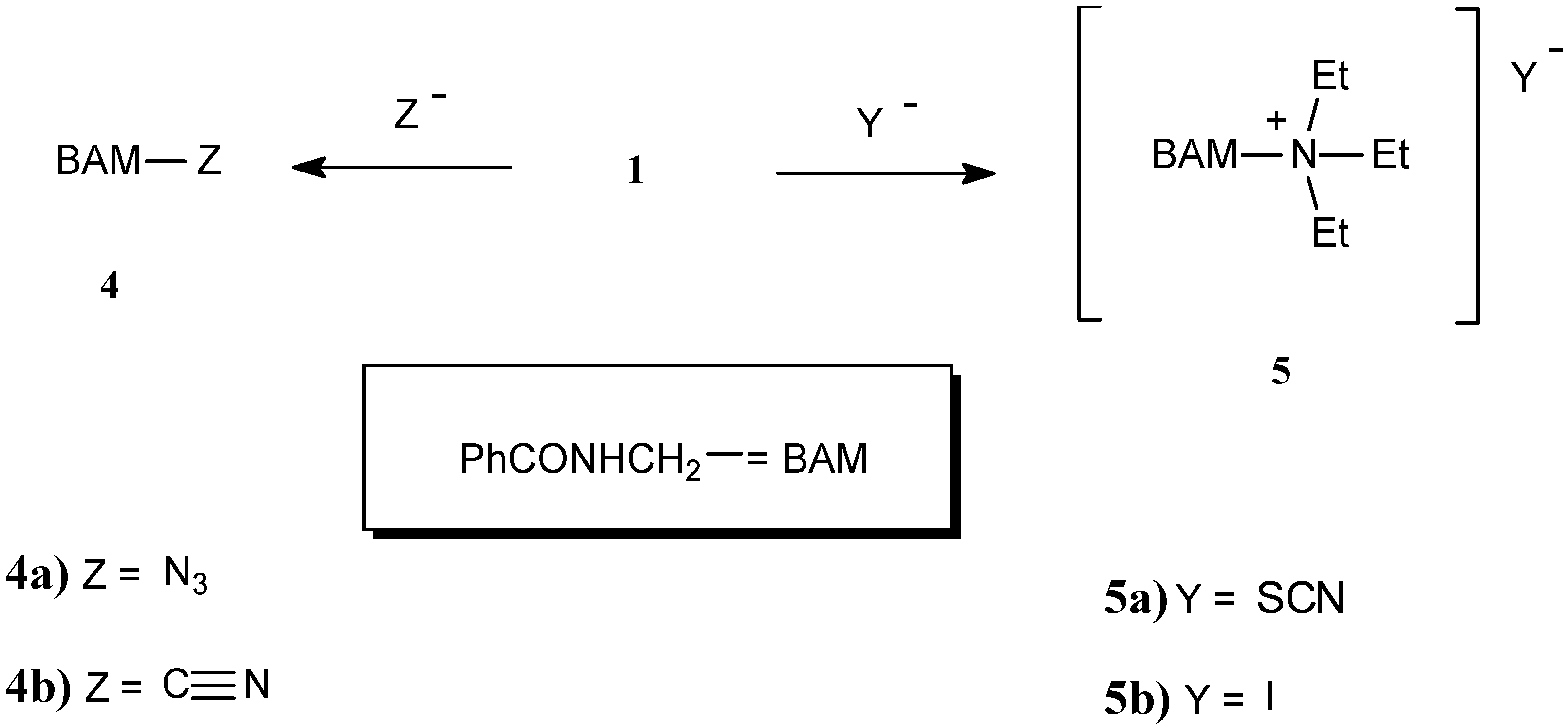 Molecules 11 00279 g002