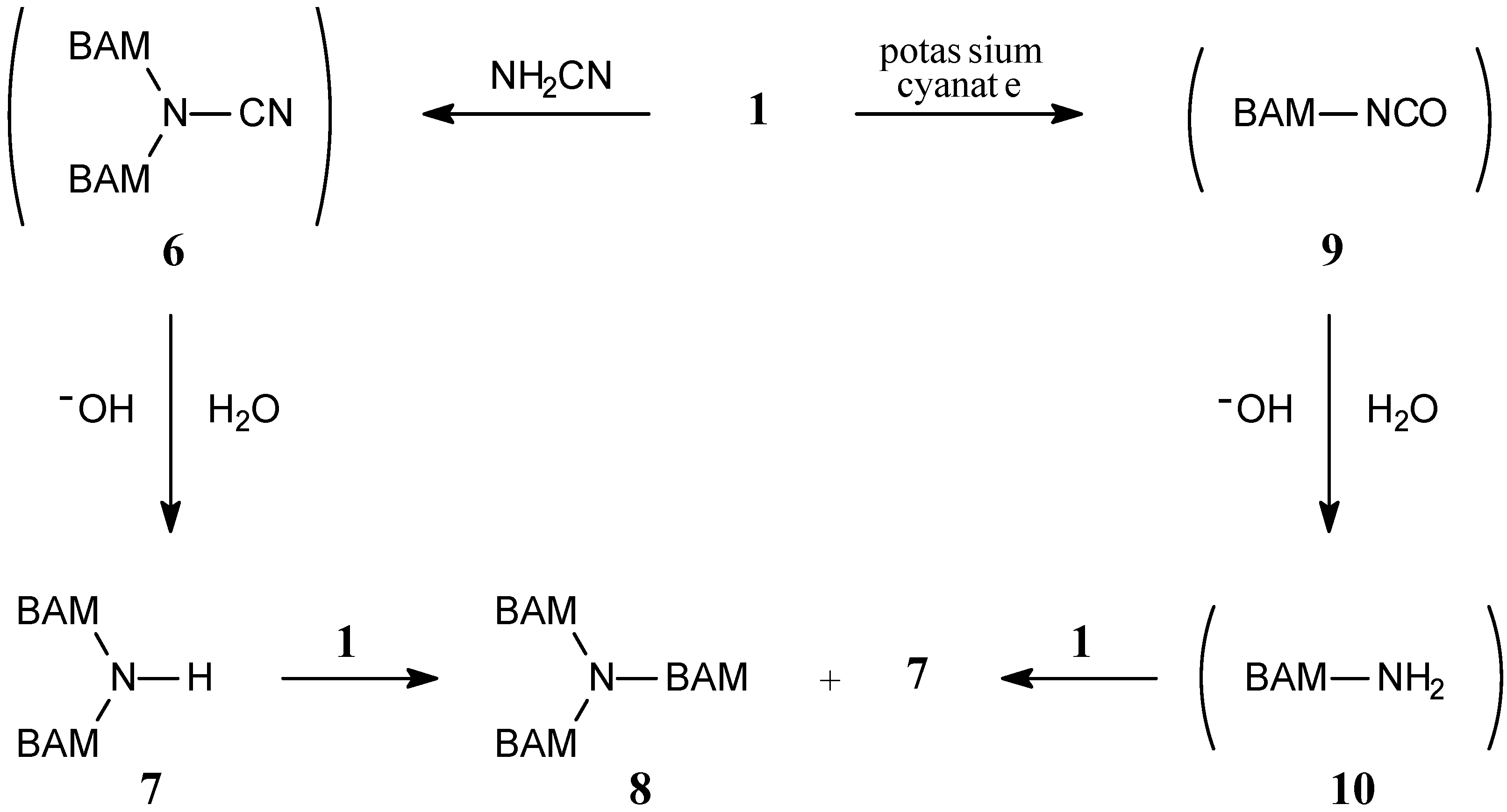 Molecules 11 00279 g003