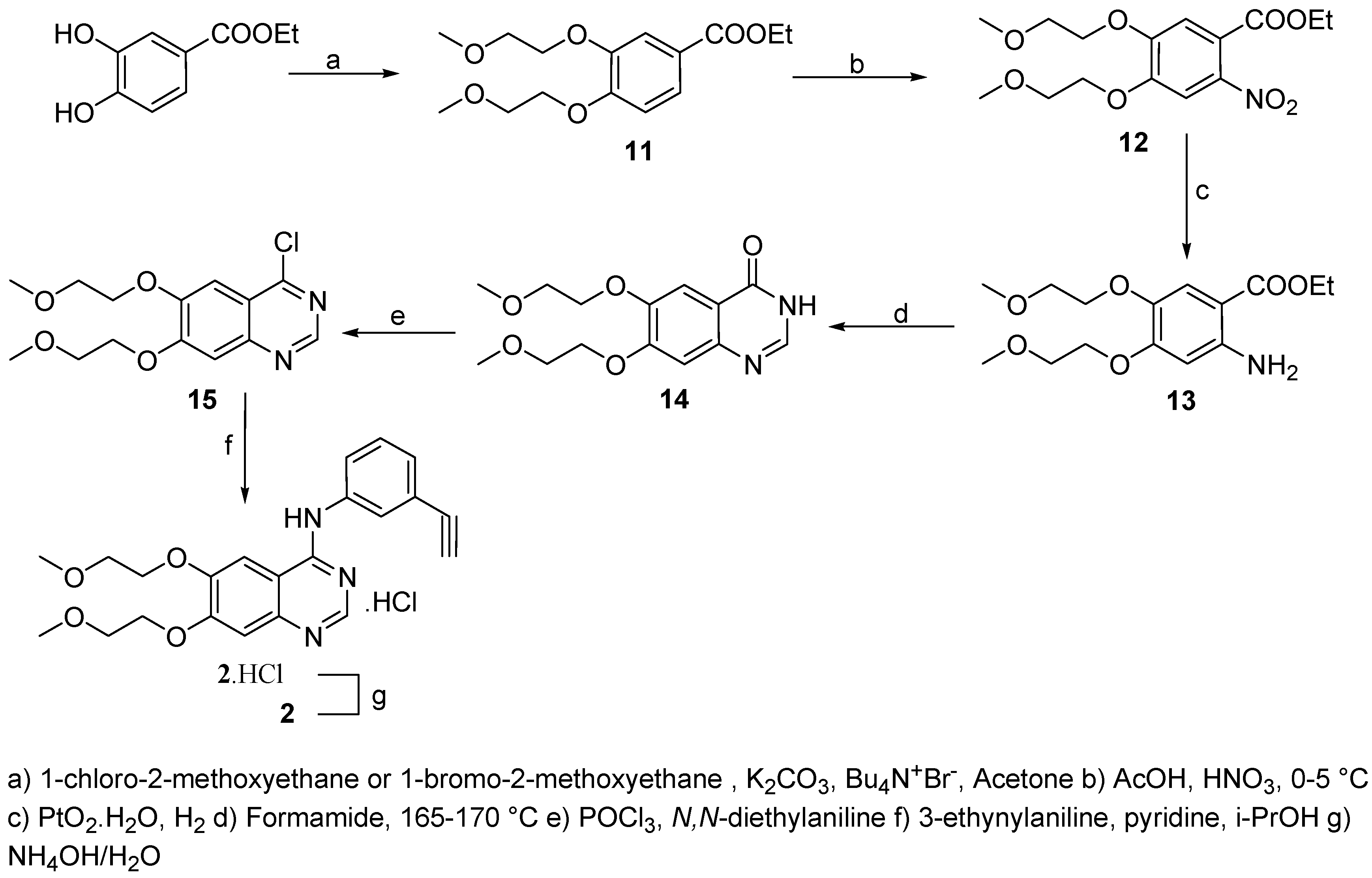 Molecules 11 00286 g003