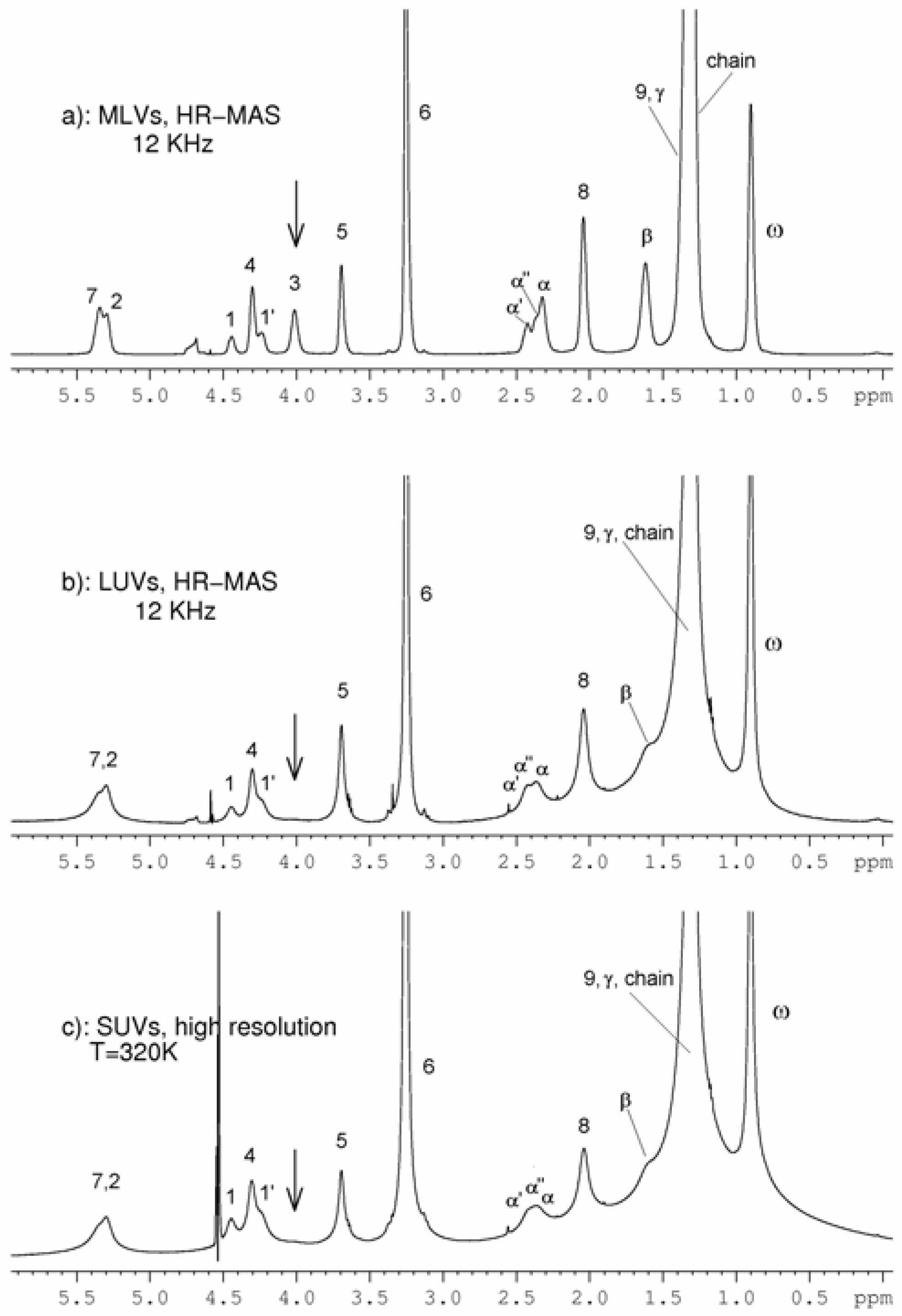 Molecules 11 00334 g003