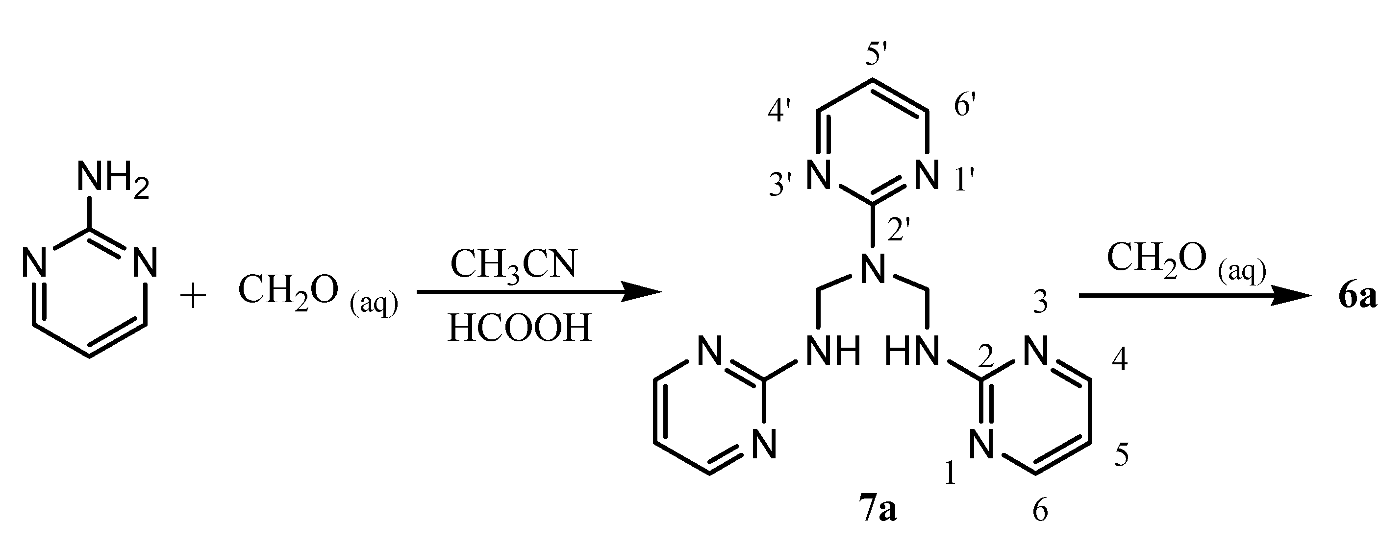 Molecules 11 00556 g004