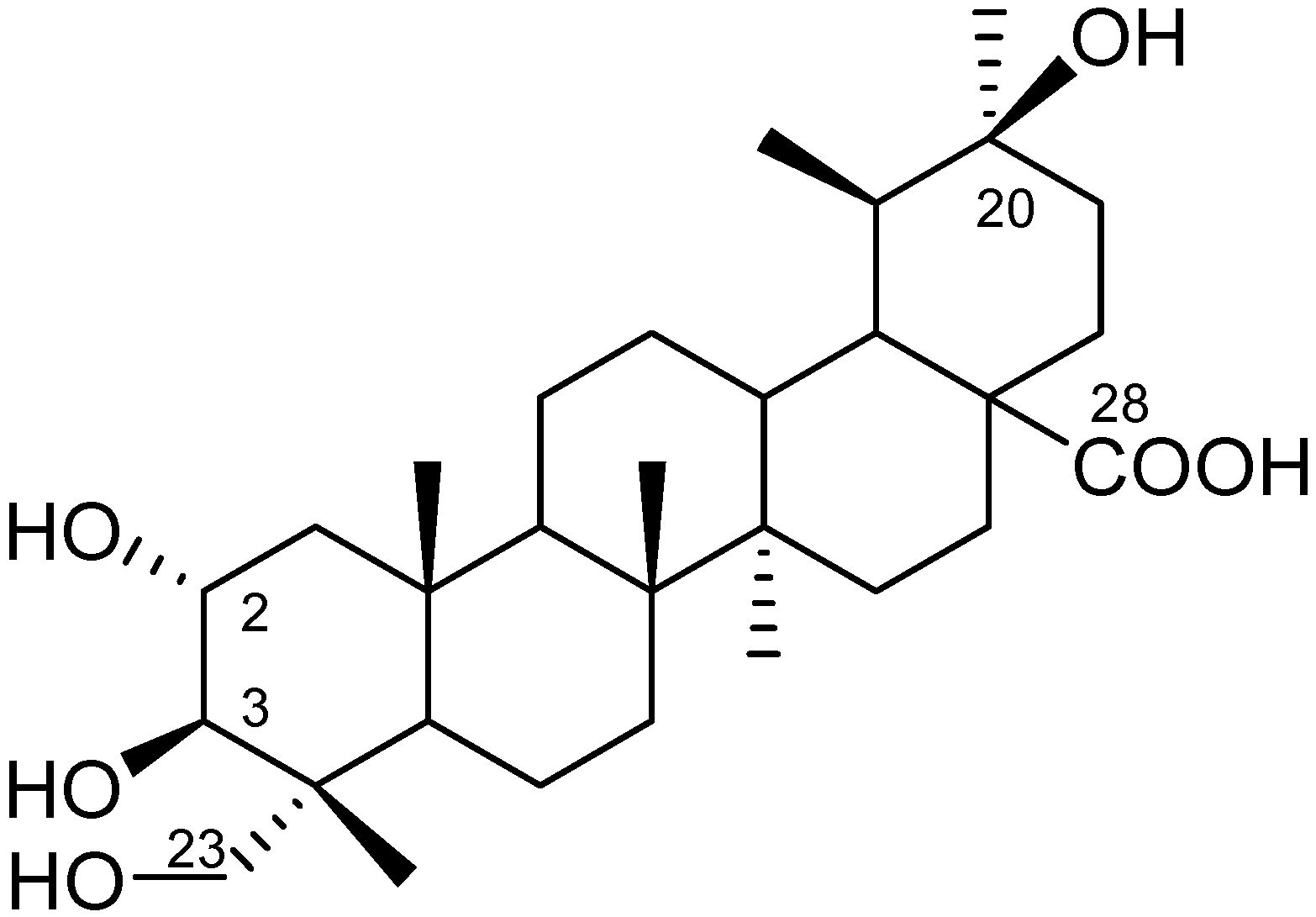 Molecules 11 00661 g001
