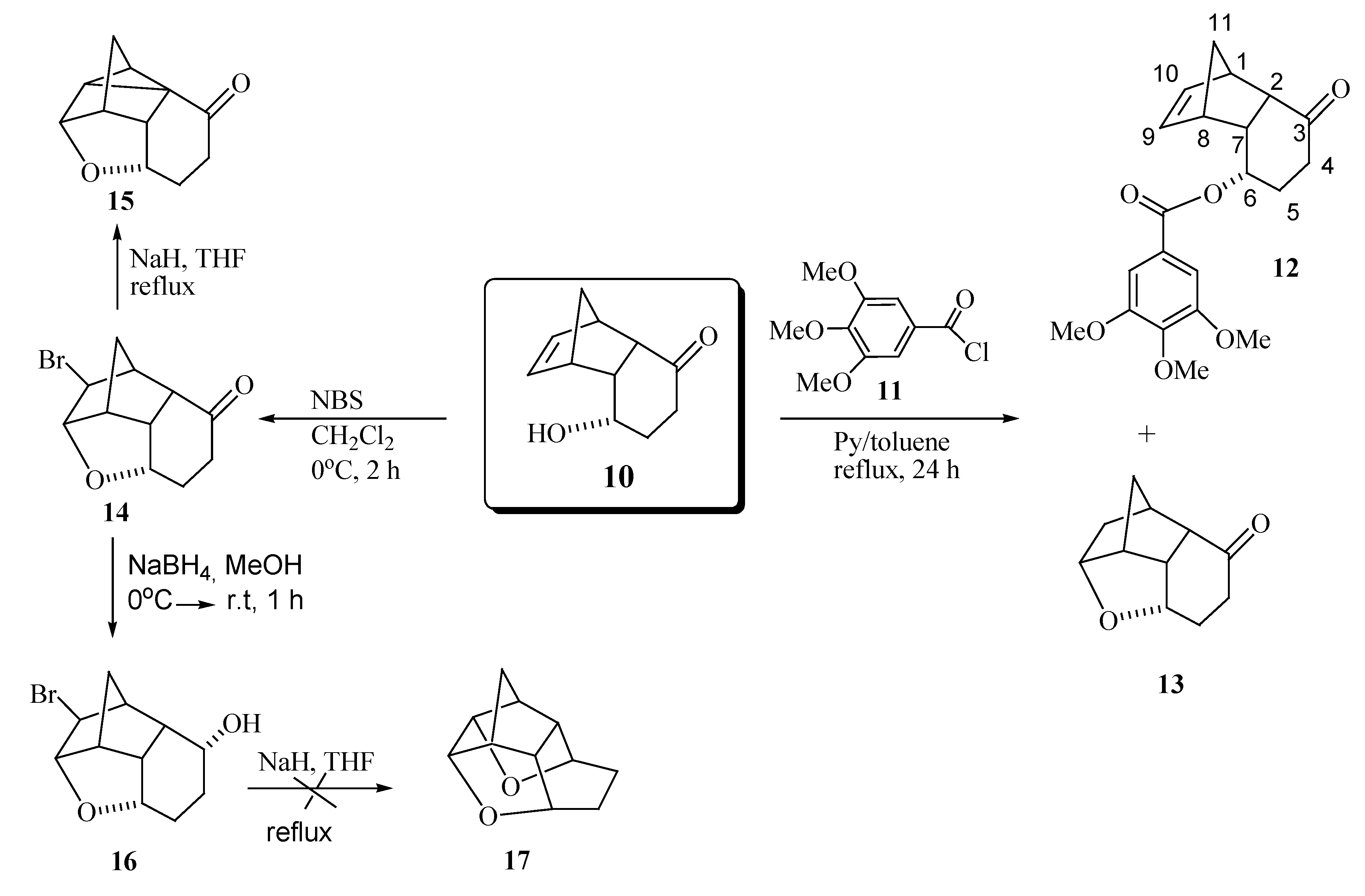 Molecules 12 00271 g007 550