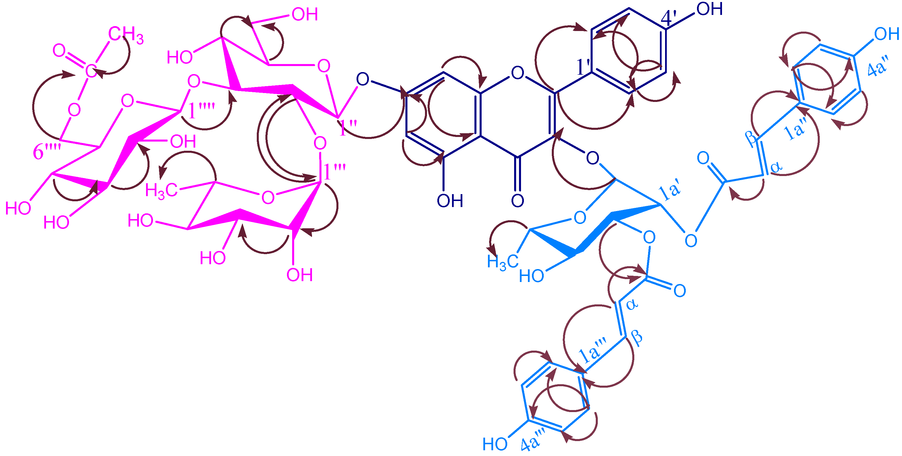 Molecules 12 00328 g006