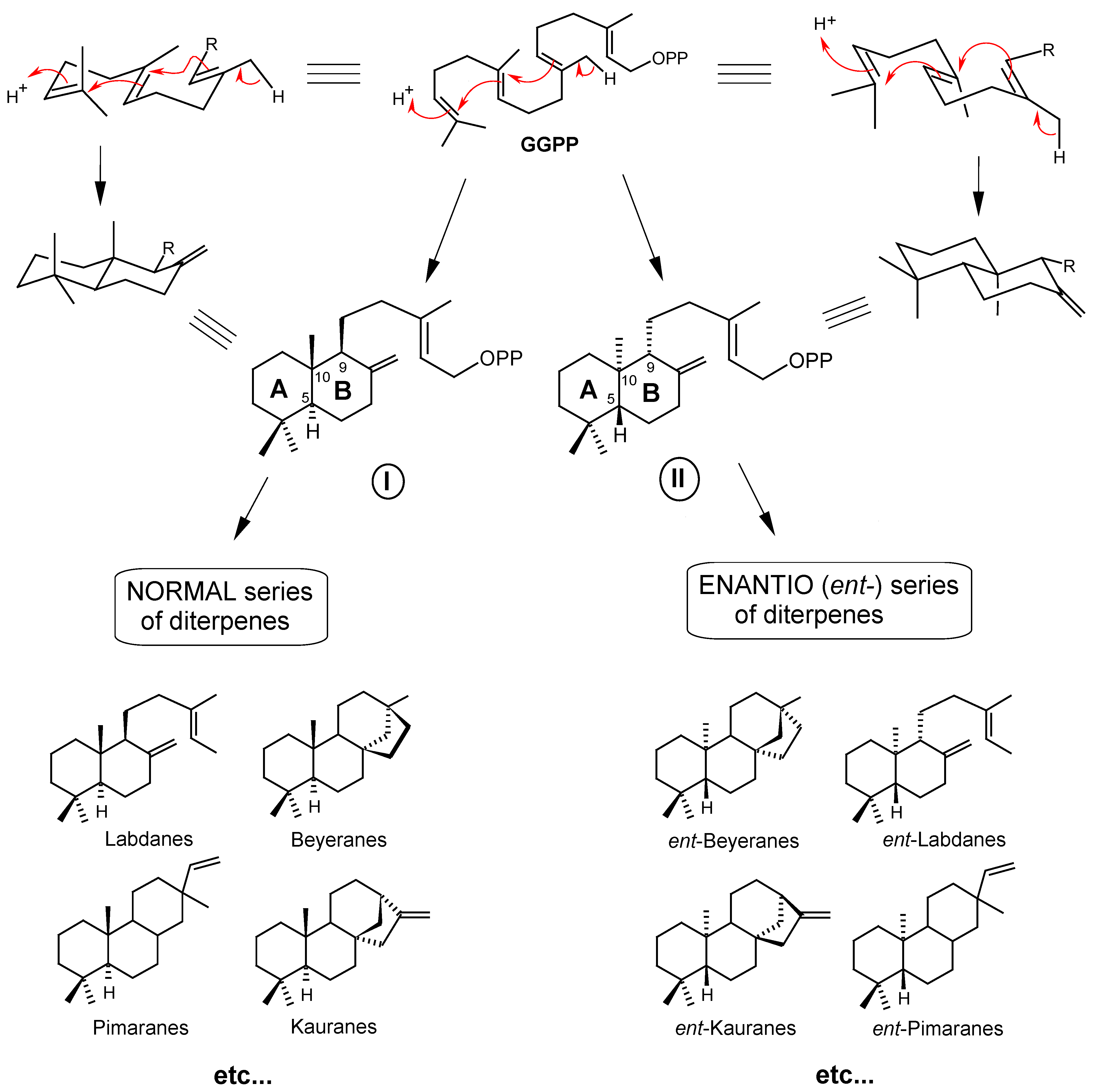 Molecules 12 00455 g002