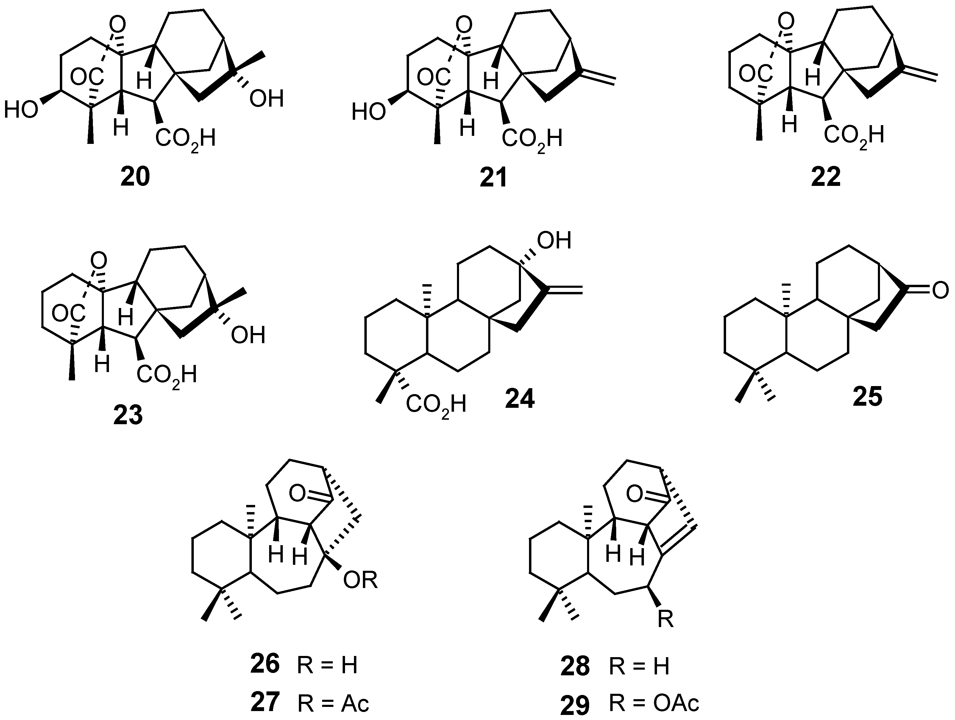 Molecules 12 00455 g006