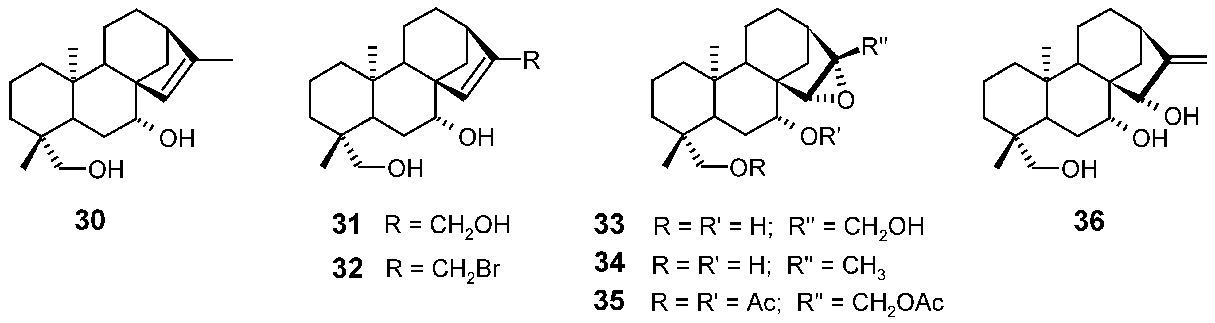 Molecules 12 00455 g007