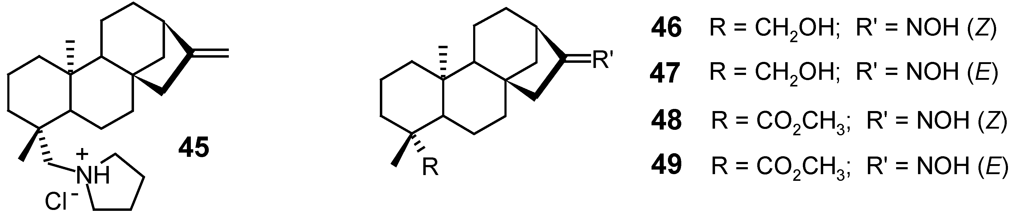 Molecules 12 00455 g010