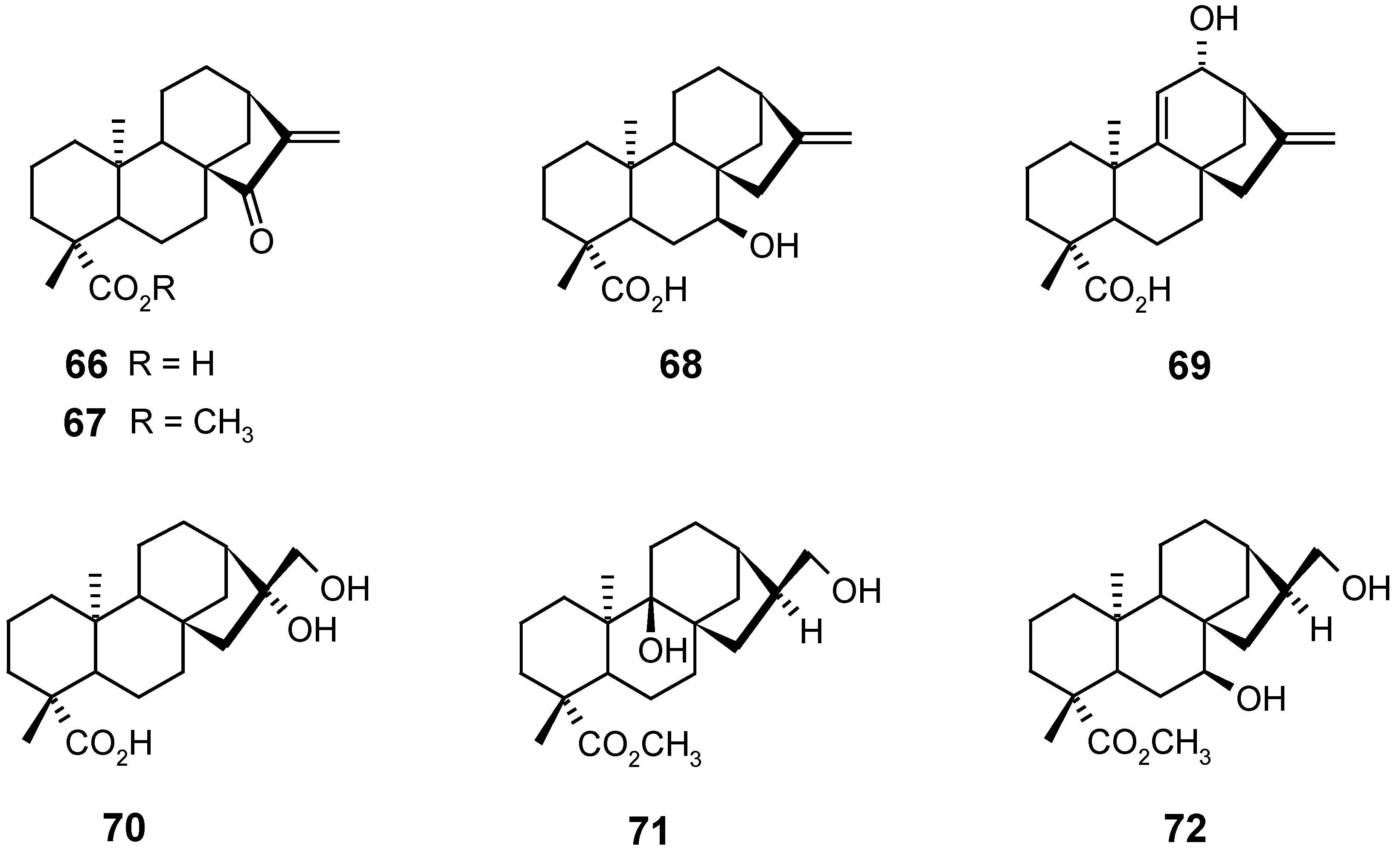 Molecules 12 00455 g015
