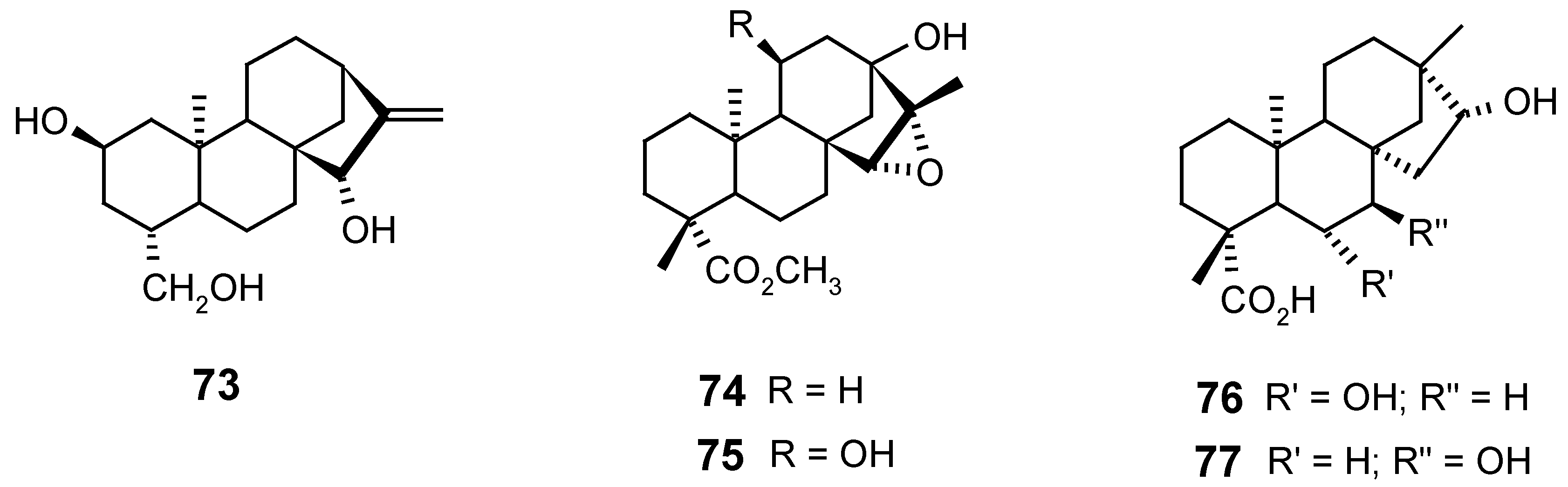 Molecules 12 00455 g016