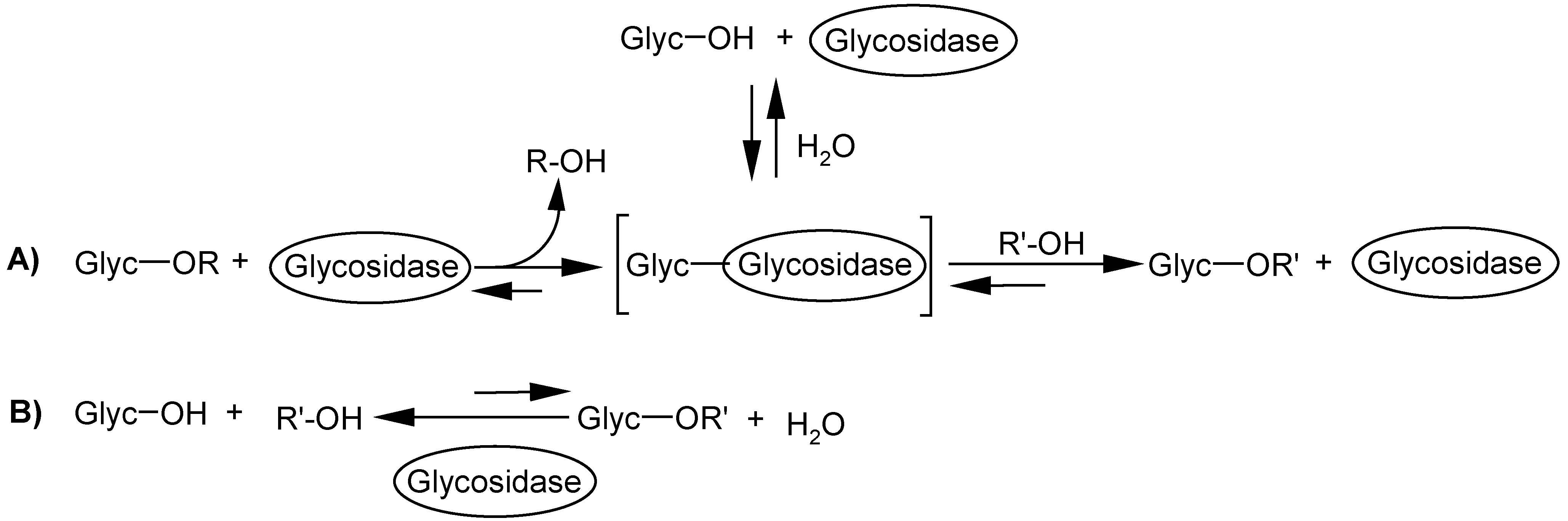 Molecules 12 00455 g023