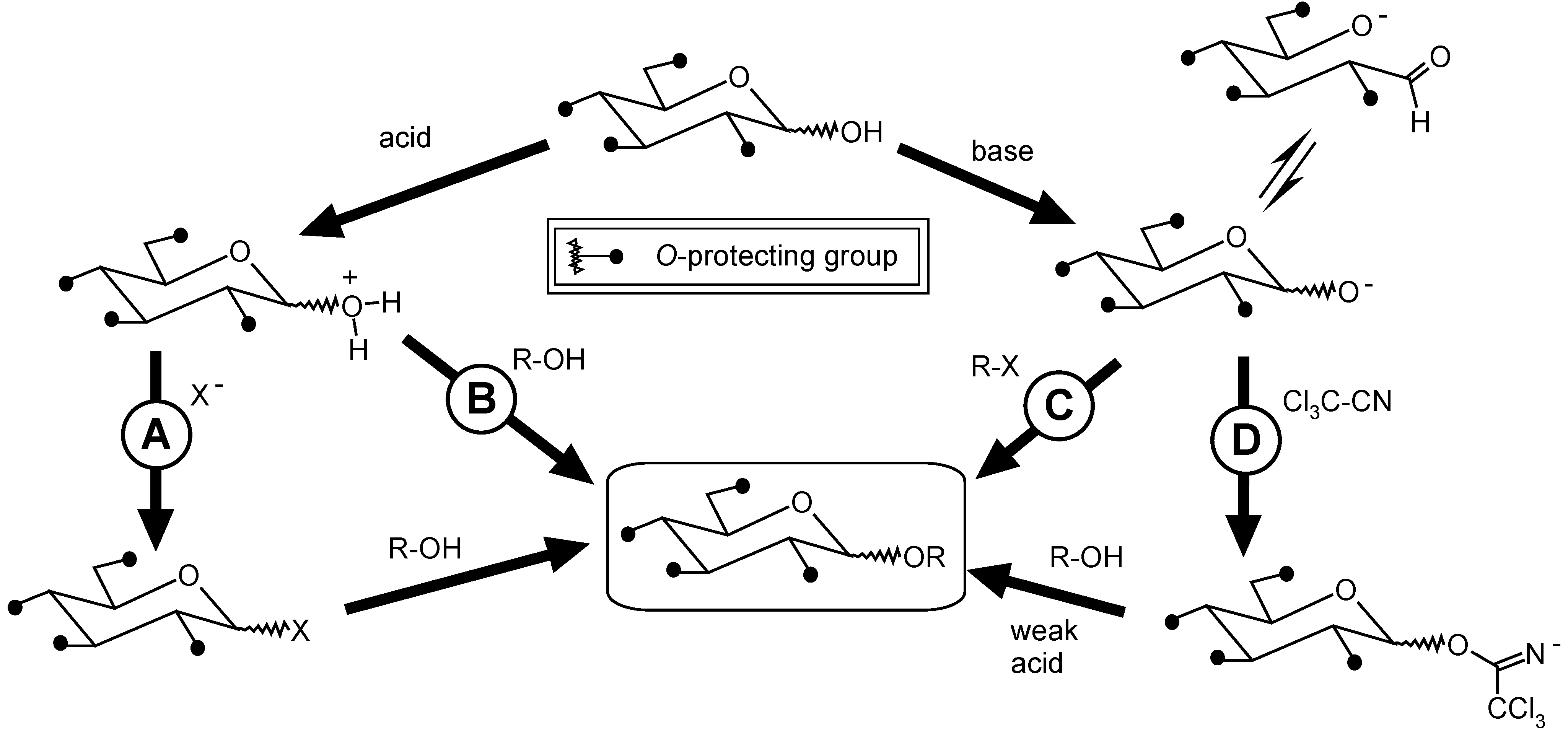 Molecules 12 00455 g024