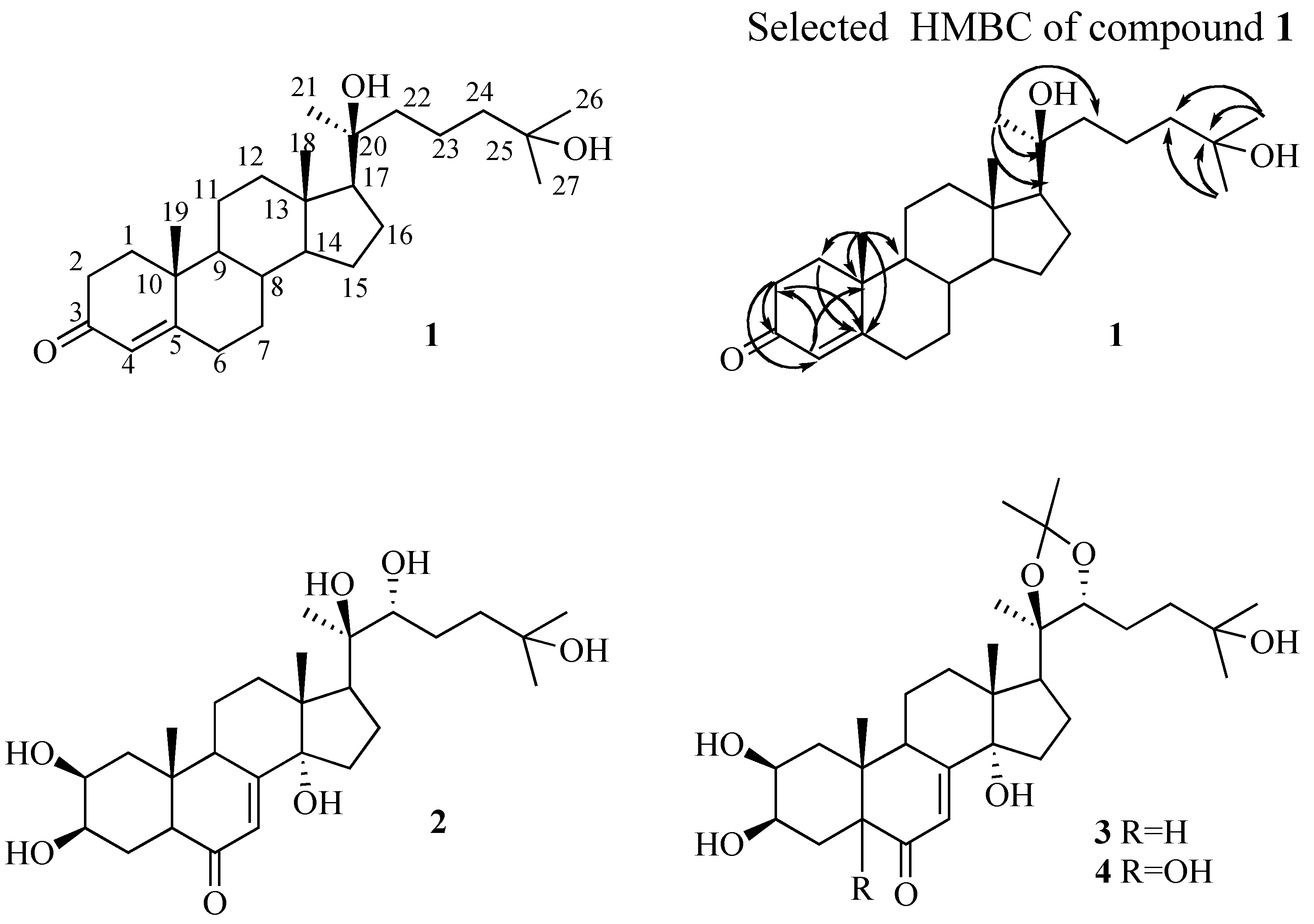 Molecules 12 00536 g001