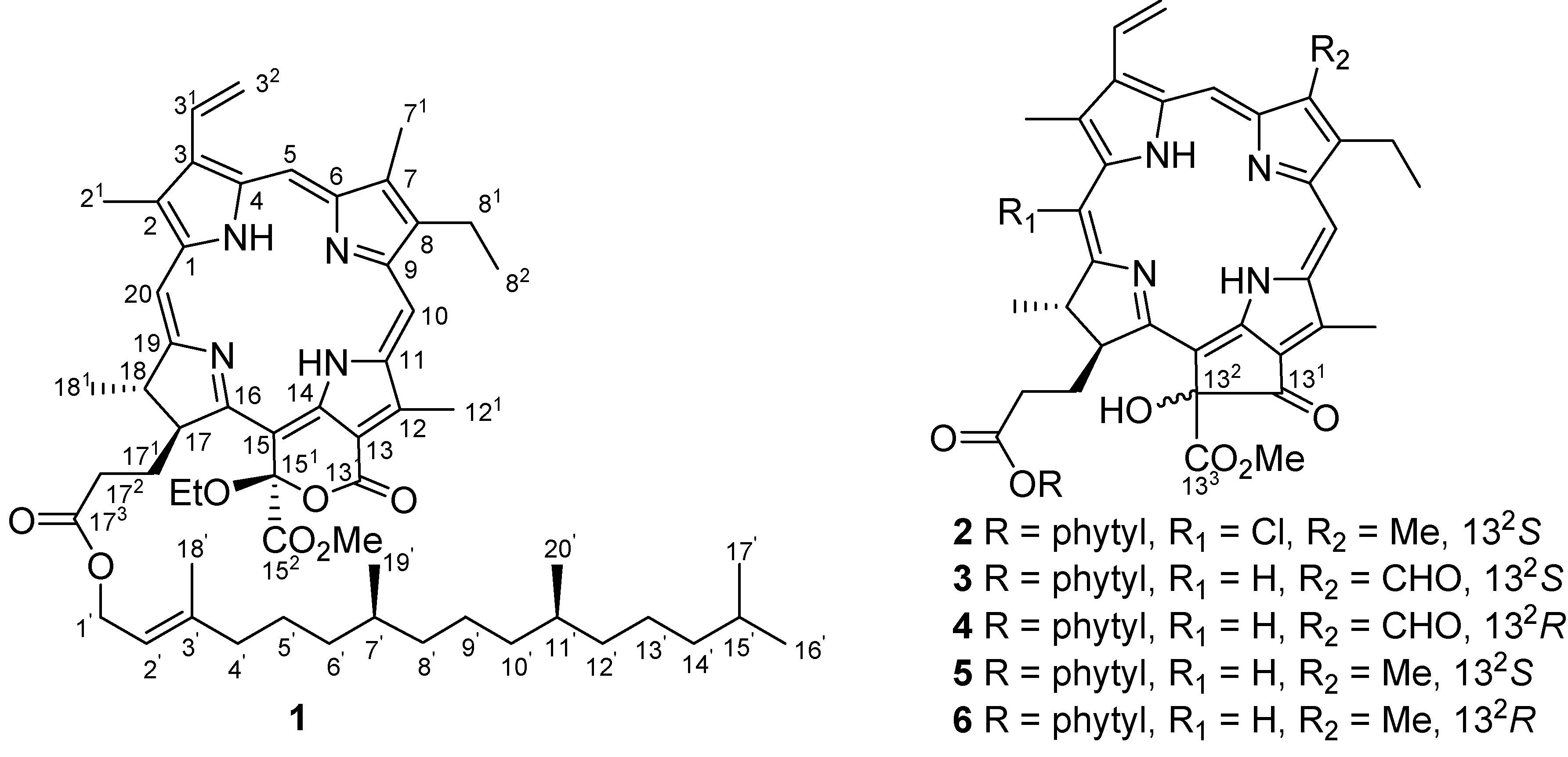 Molecules 12 00582 g001